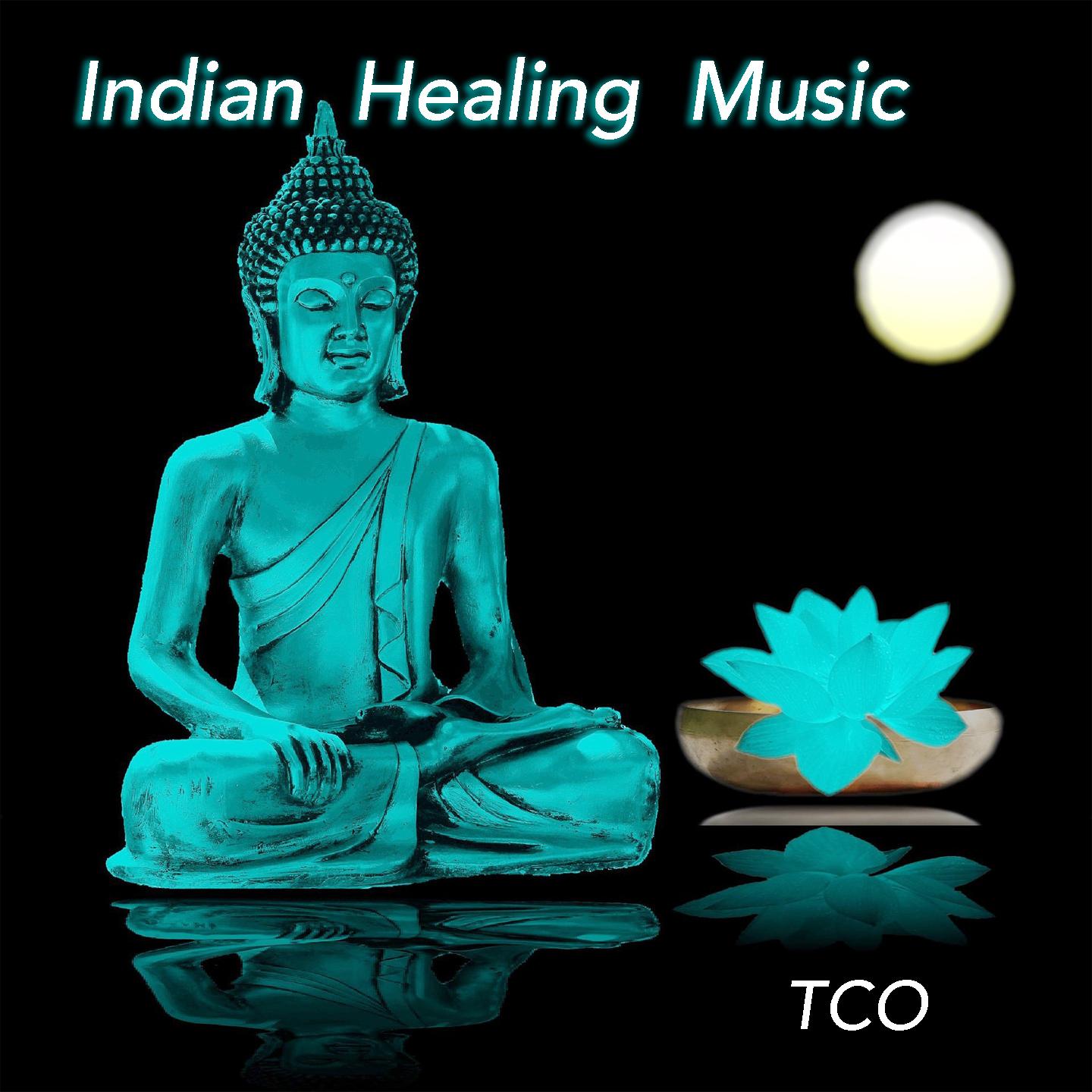 Постер альбома Indian Healing Music