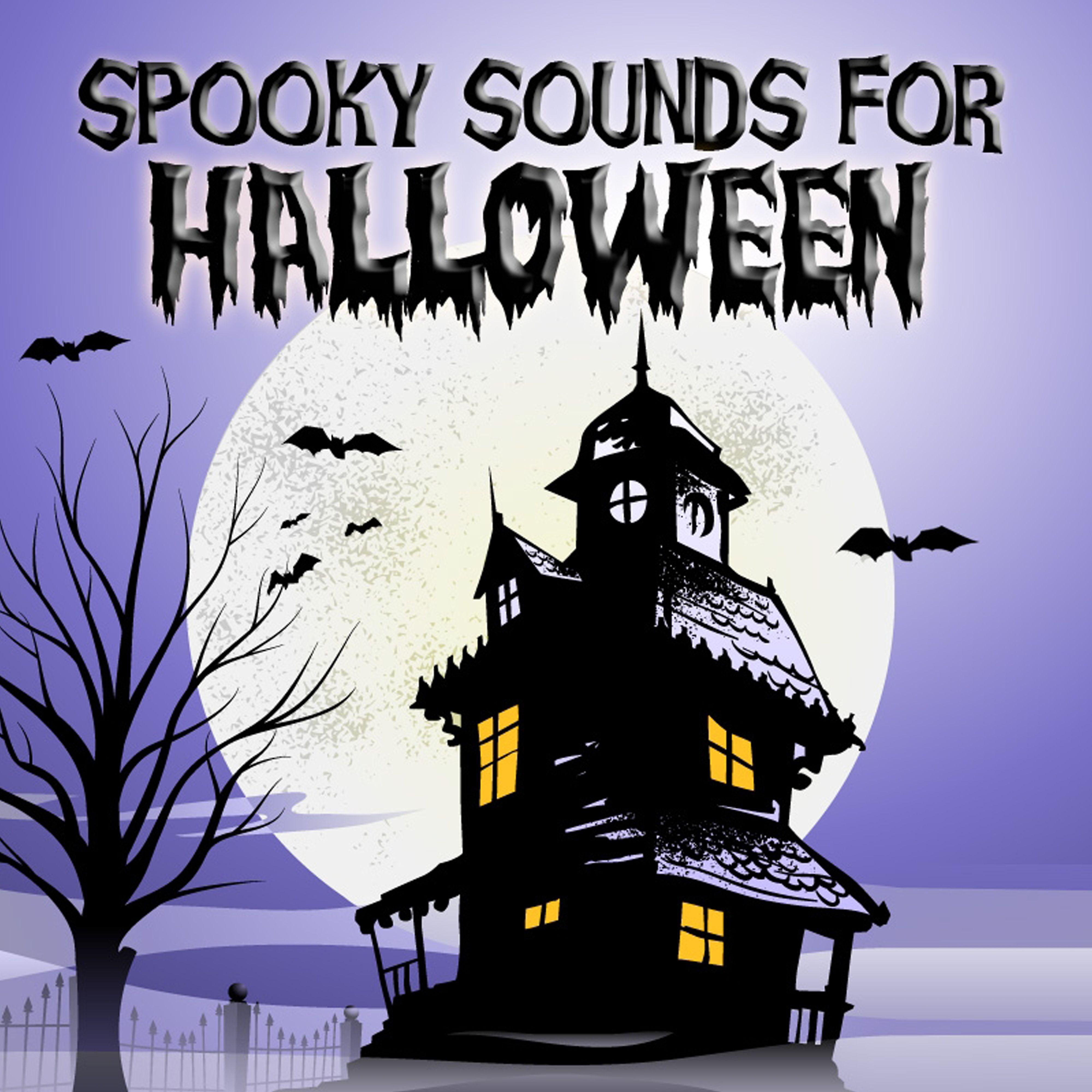 Постер альбома Spooky Sounds for Halloween