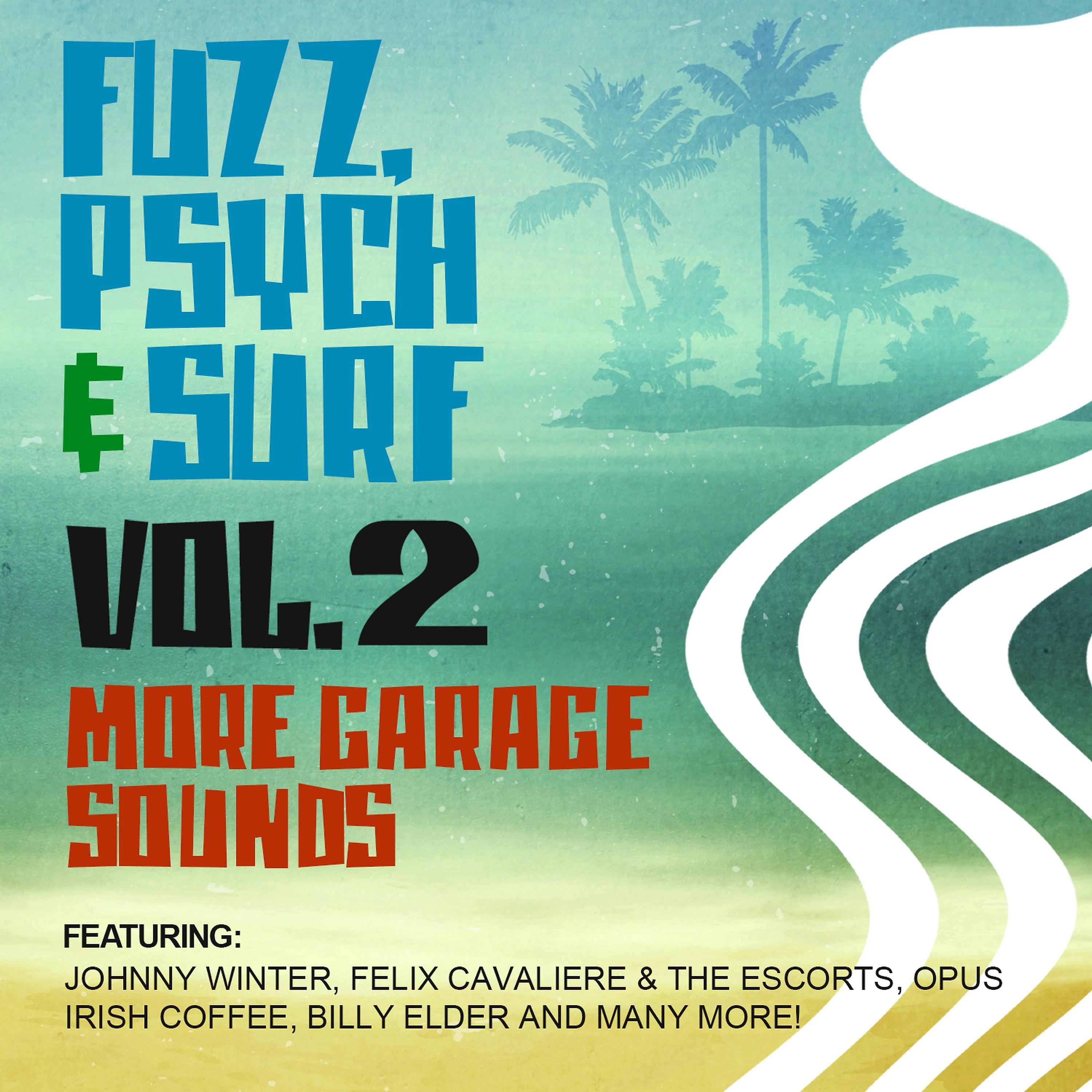 Постер альбома Fuzz, Psych & Surf, Vol. 2 - More Garage Sounds