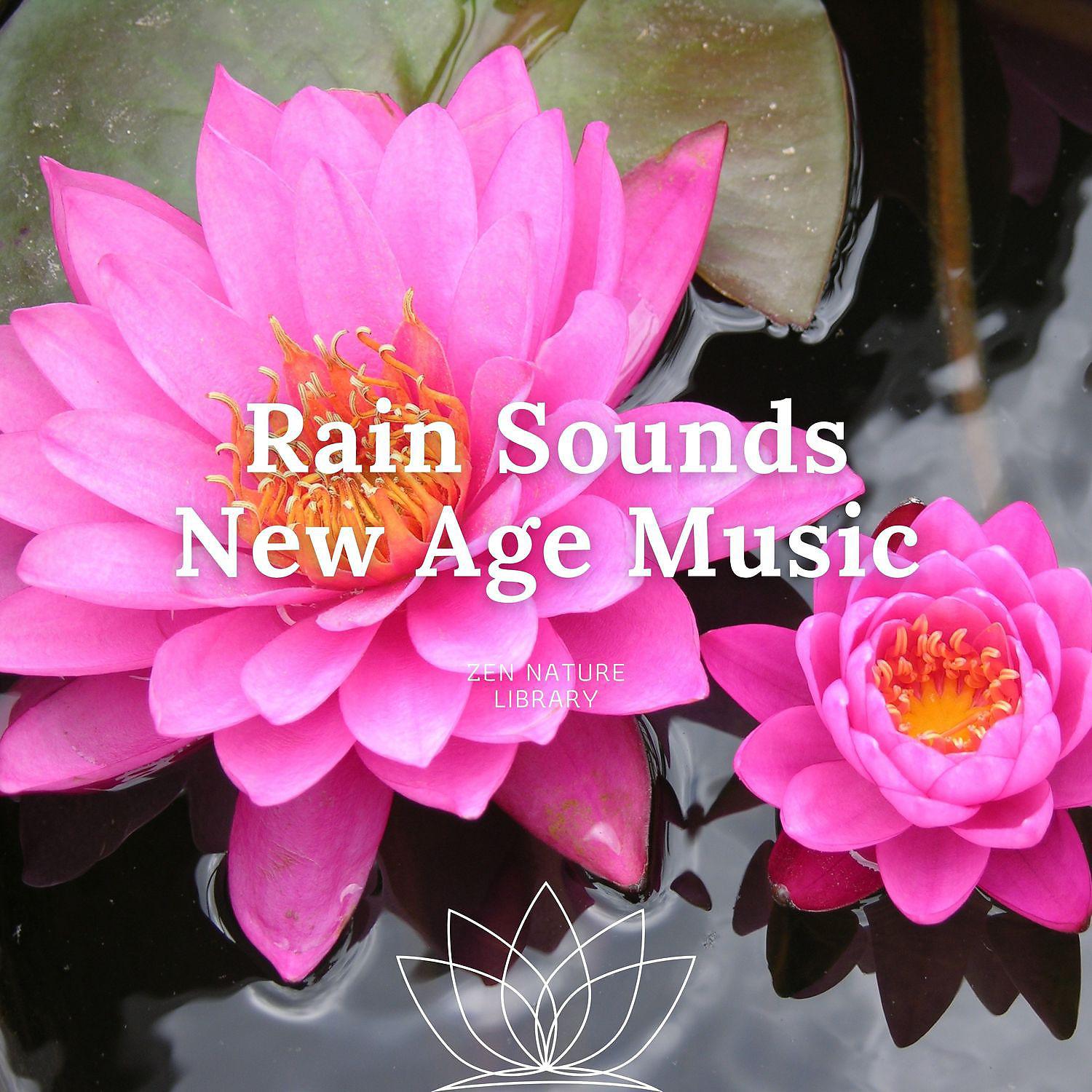 Постер альбома Rain Sounds New Age Music