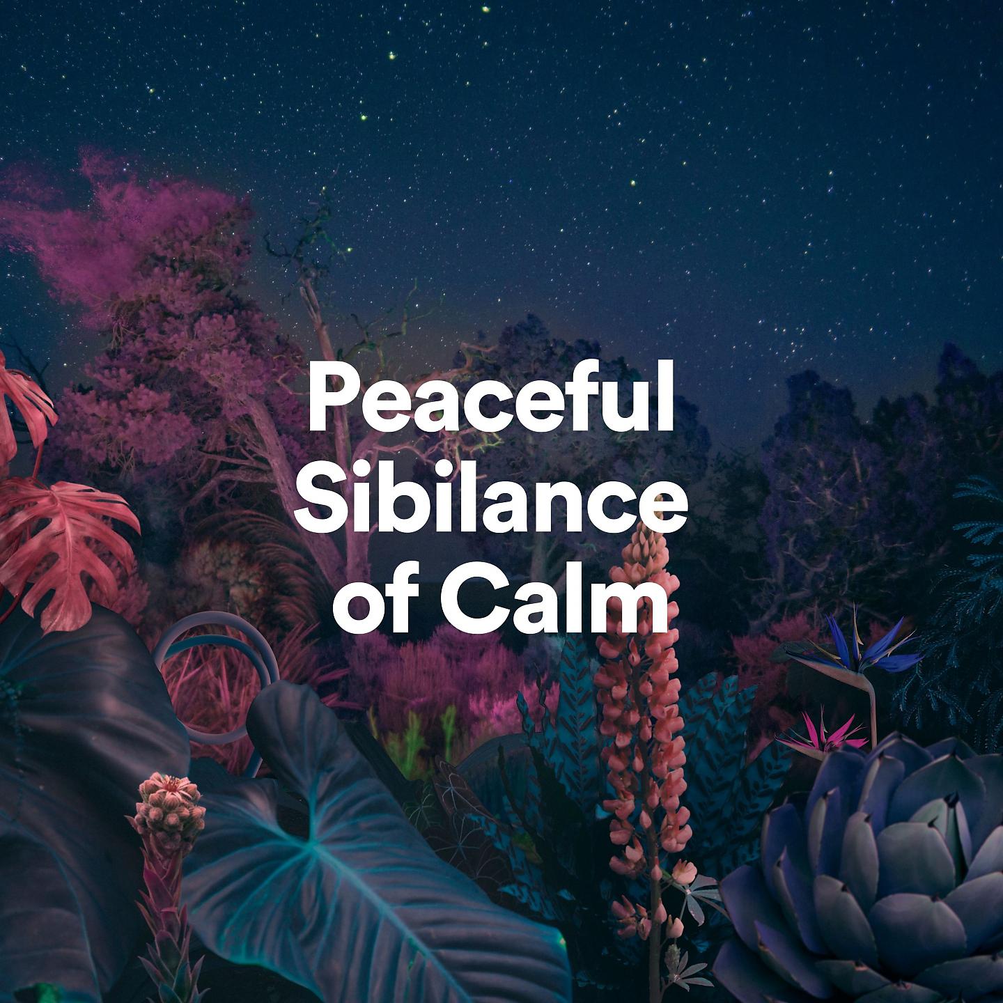 Постер альбома Peaceful Sibilance of Calm