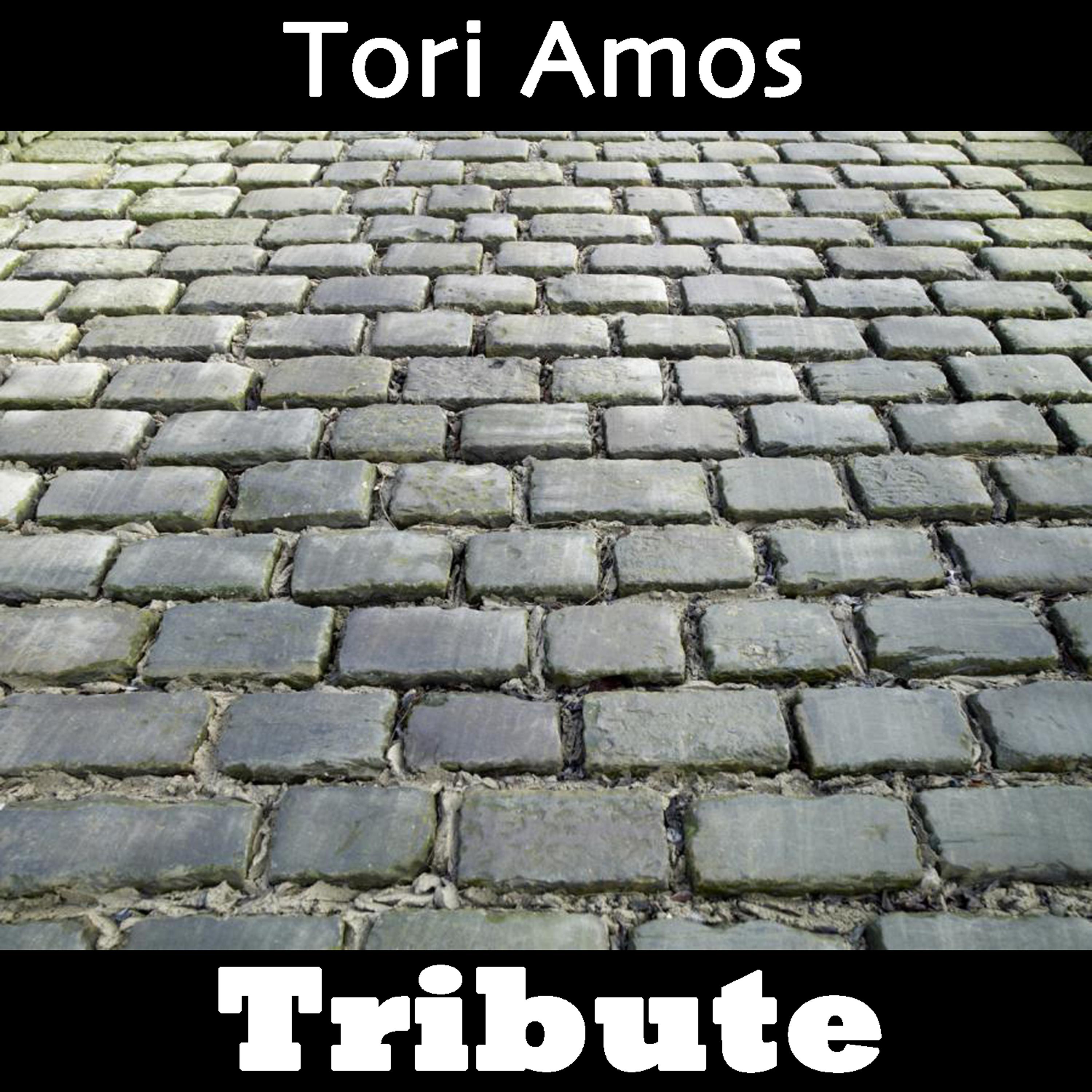Постер альбома Cornflake Girl: Tribute to Tori Amos