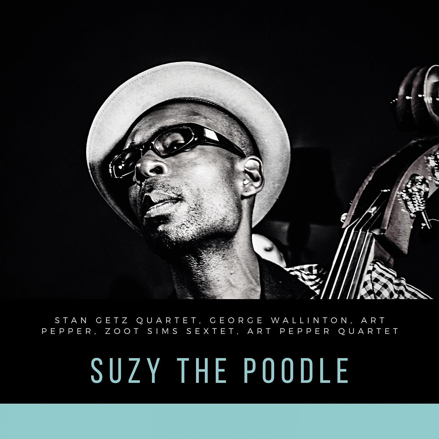 Постер альбома Suzy The Poodle