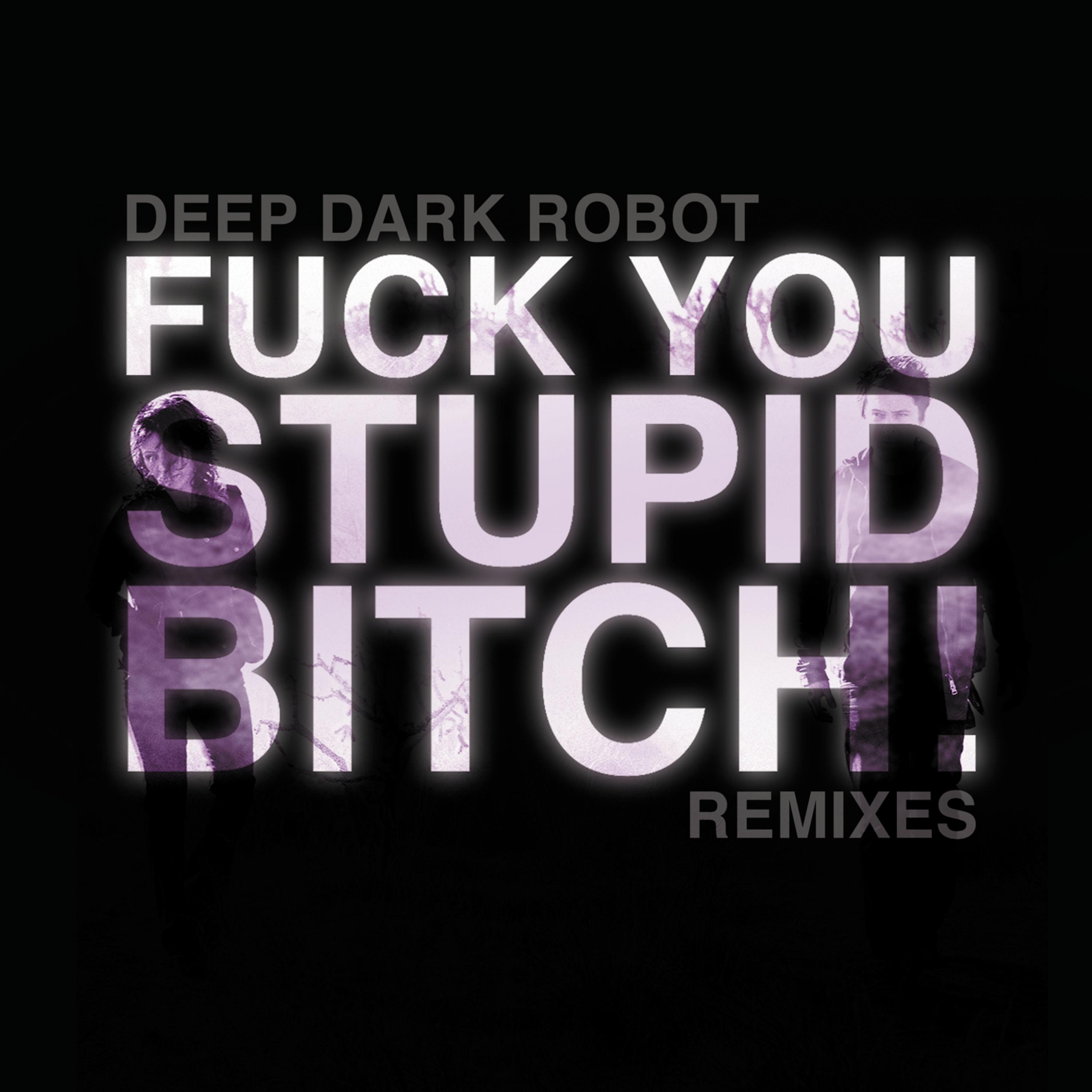 Постер альбома Fuck You, Stupid Bitch (Remixes)