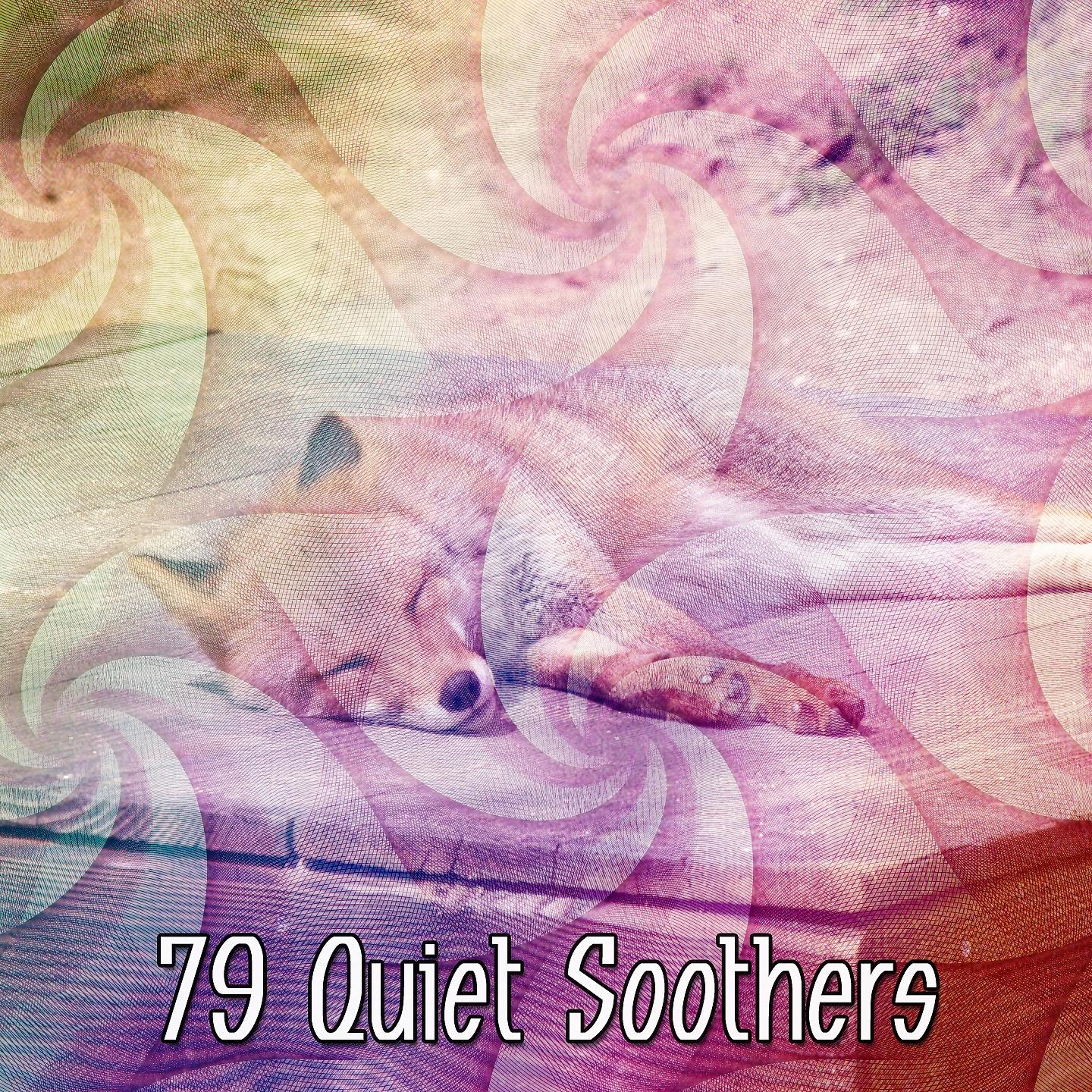 Постер альбома 79 Quiet Soothers