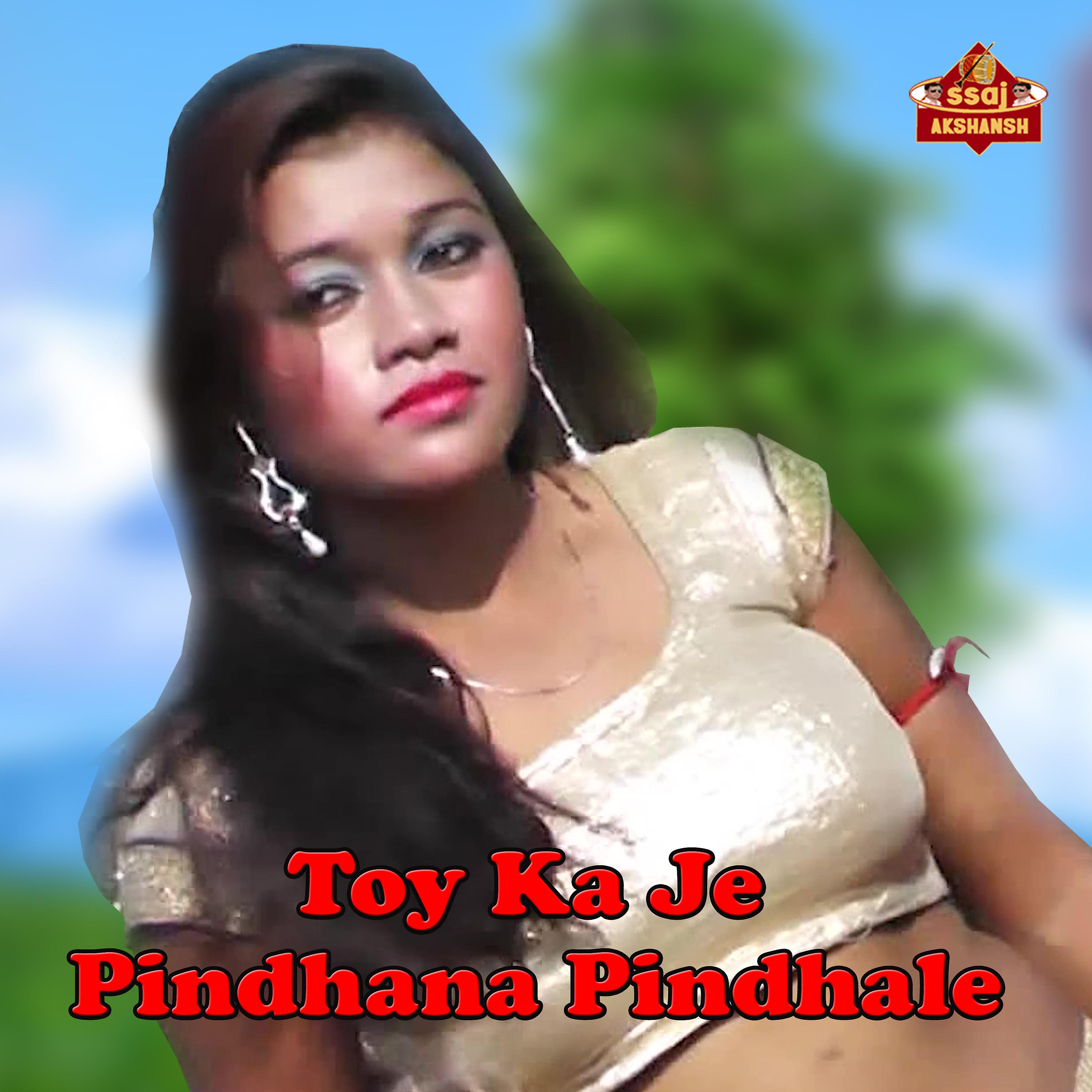 Постер альбома Toy Ka Je Pindhana Pindhale