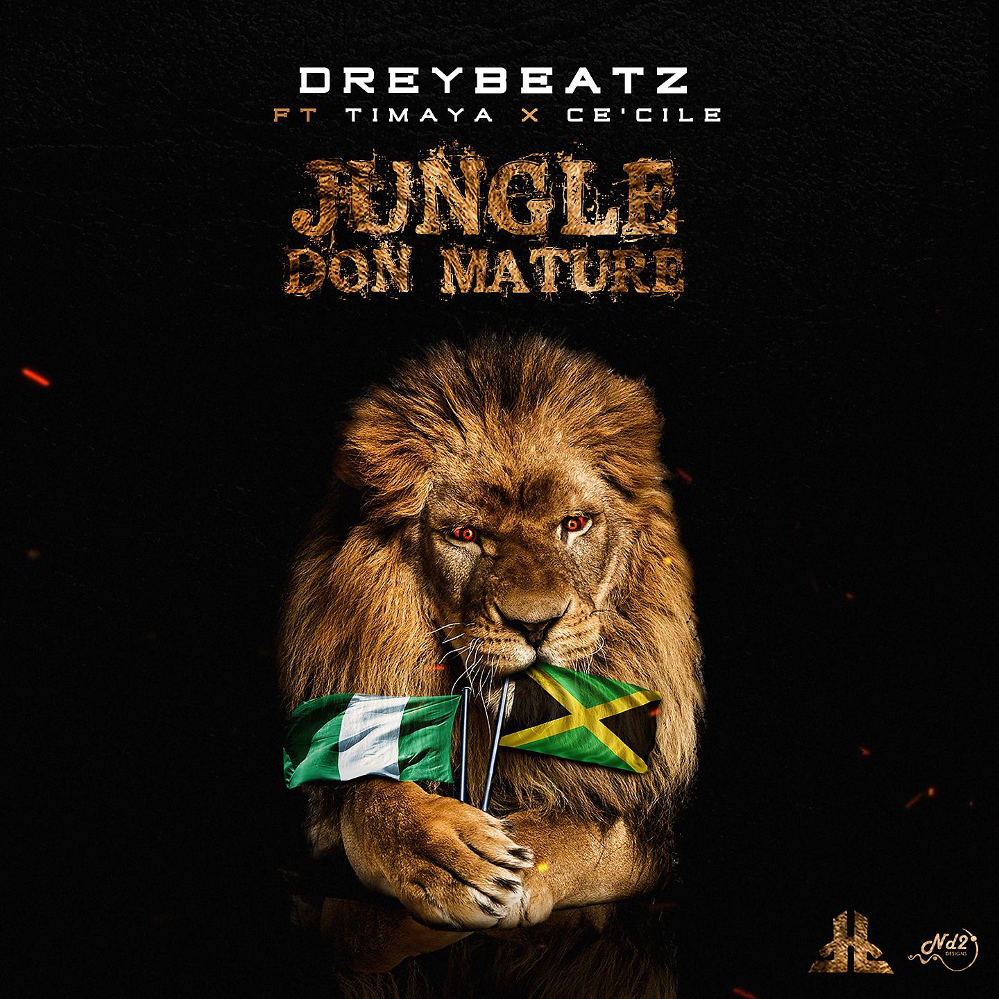 Постер альбома Jungle Don Mature