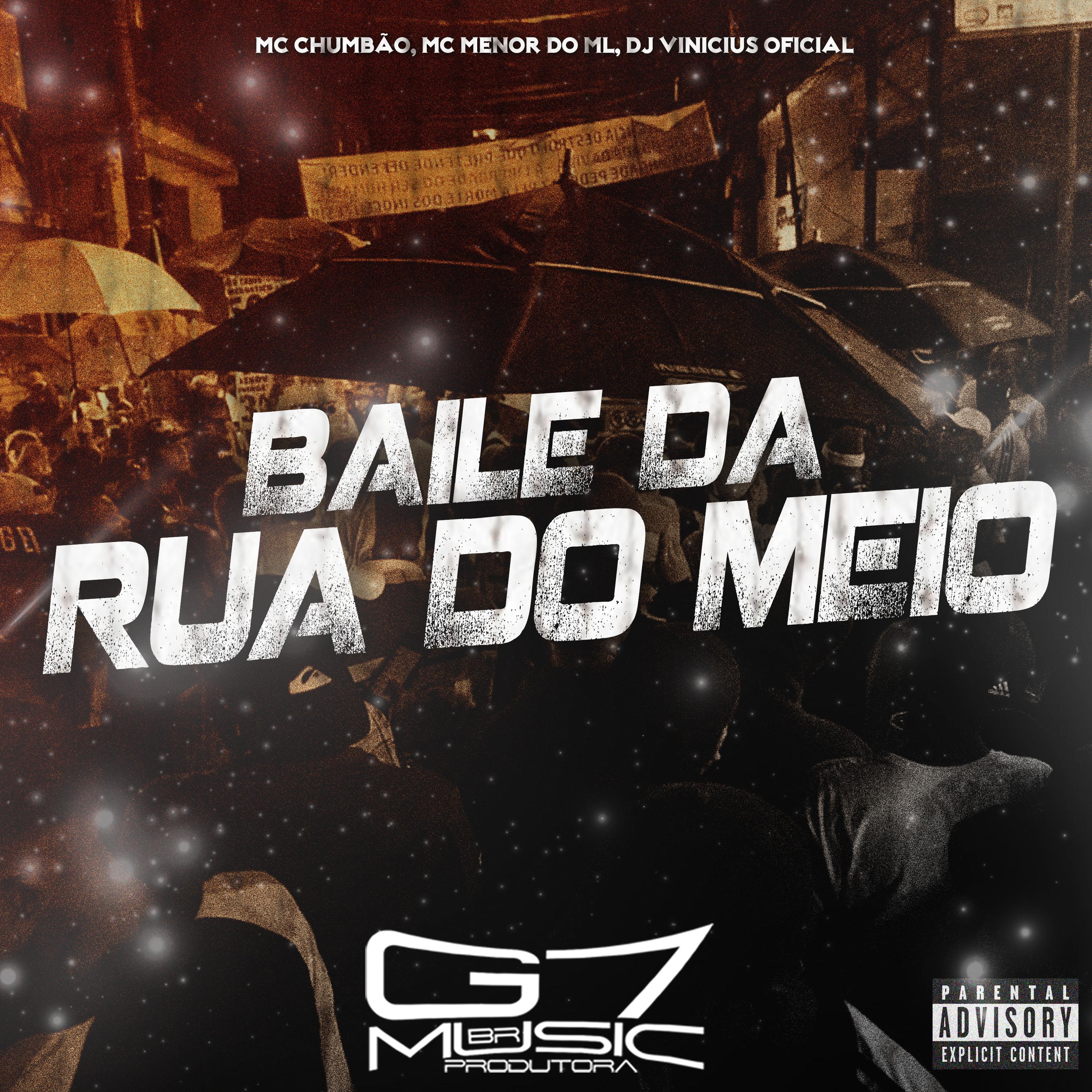 Постер альбома Baile da Rua do Meio