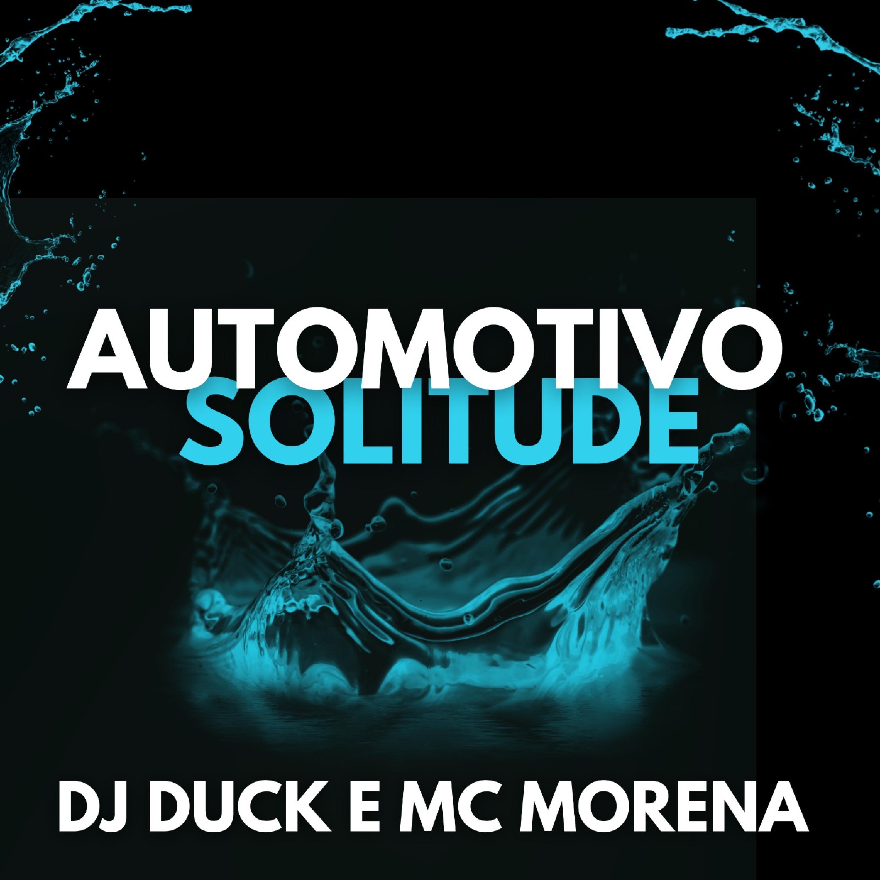 Постер альбома Automotivo Solitude