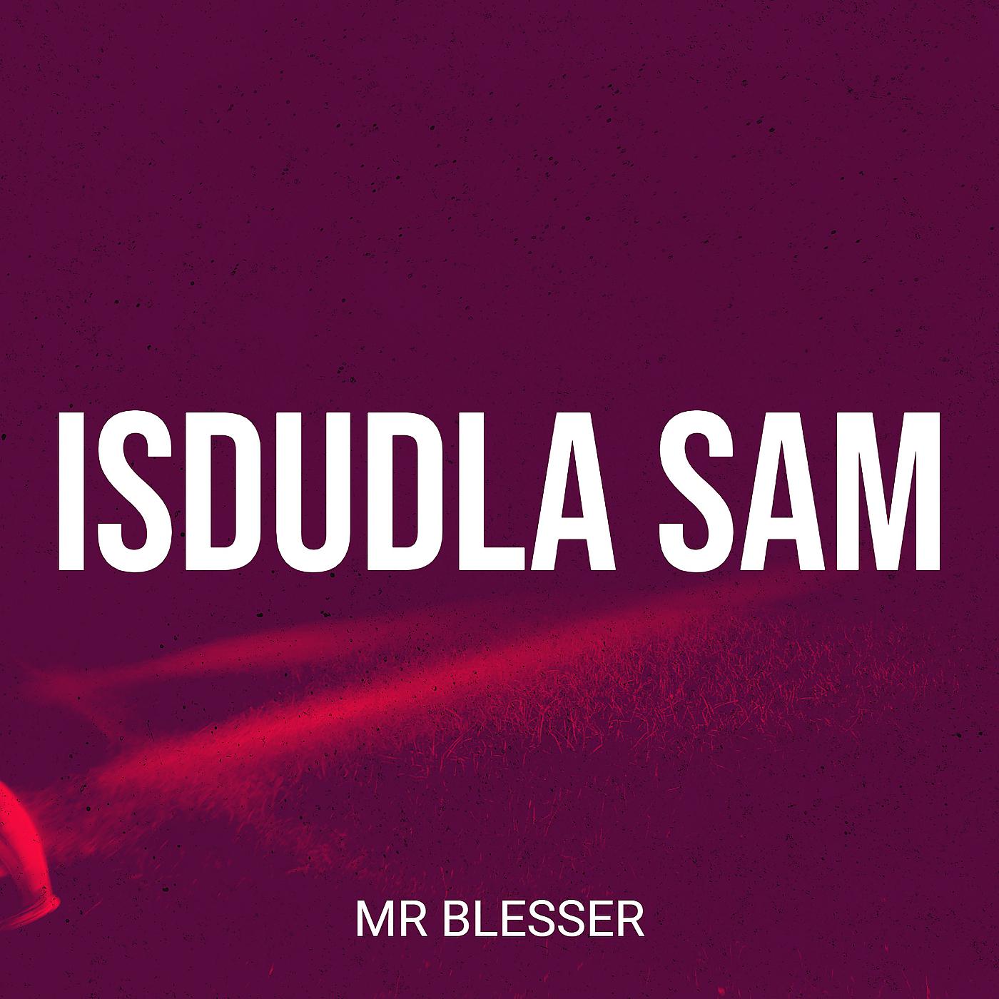 Постер альбома Isdudla Sam