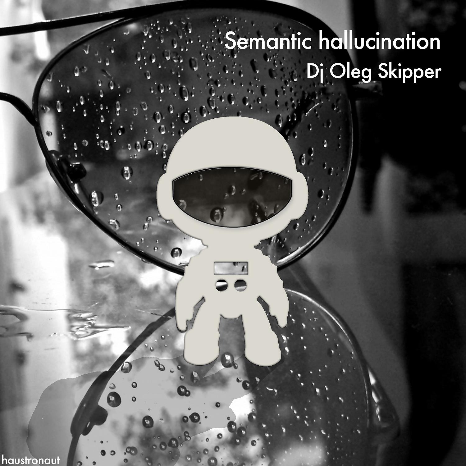 Постер альбома Semantic Hallucination