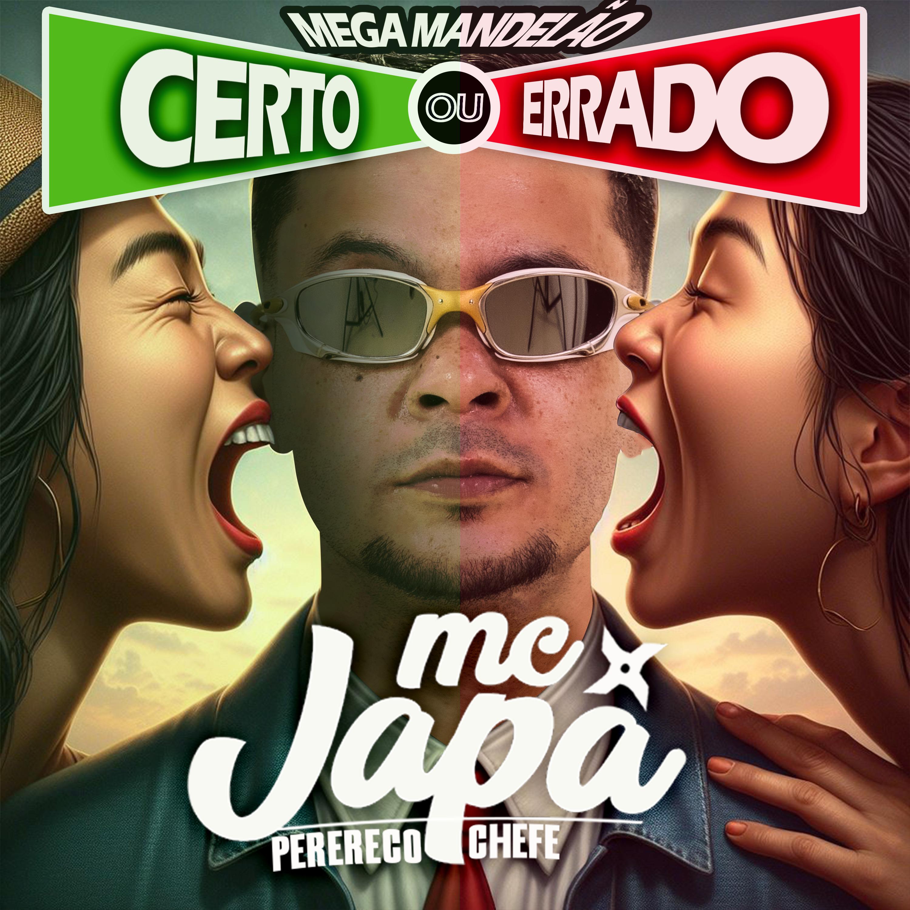 Постер альбома Certo ou Errado (Mega Mandelão)