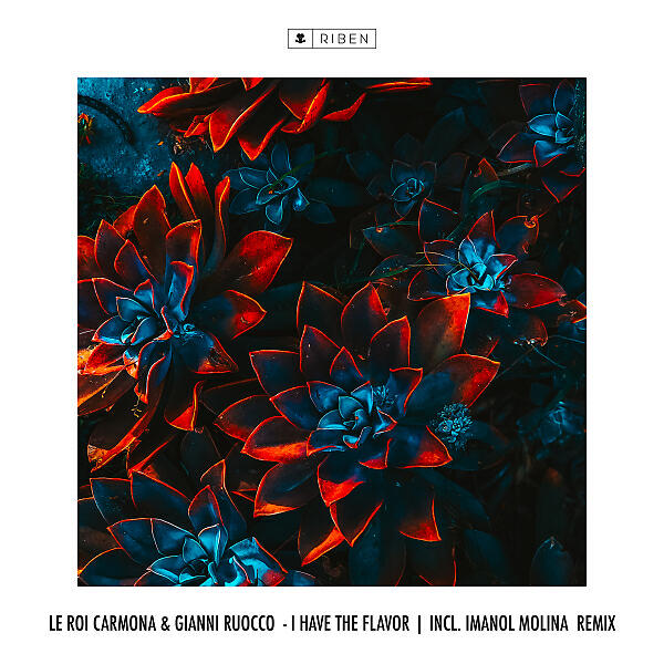 Le Roi Carmona - I Have The Flavor (Imanol Molina Remix)