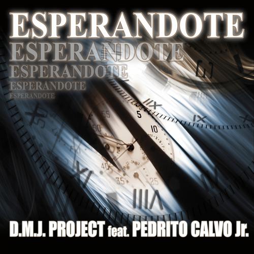 Постер альбома Esperandote
