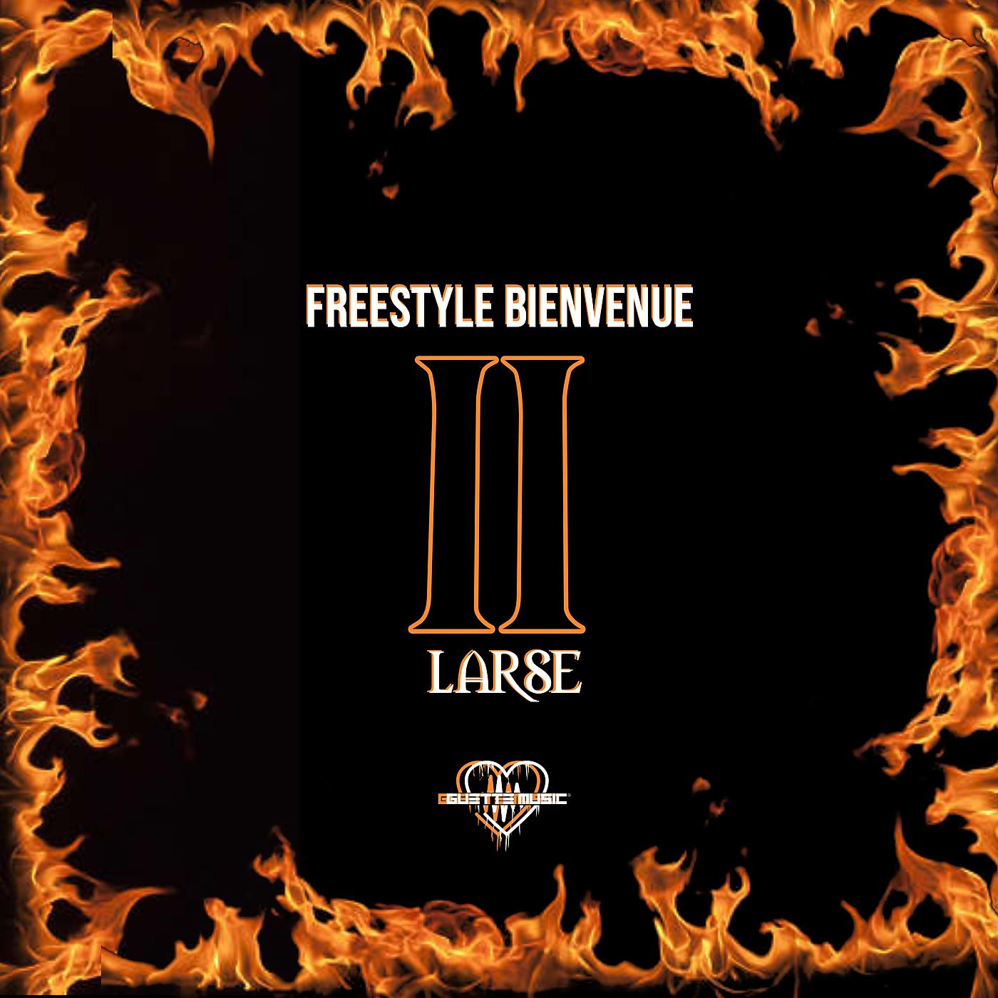 Постер альбома Freestyle bienvenue II
