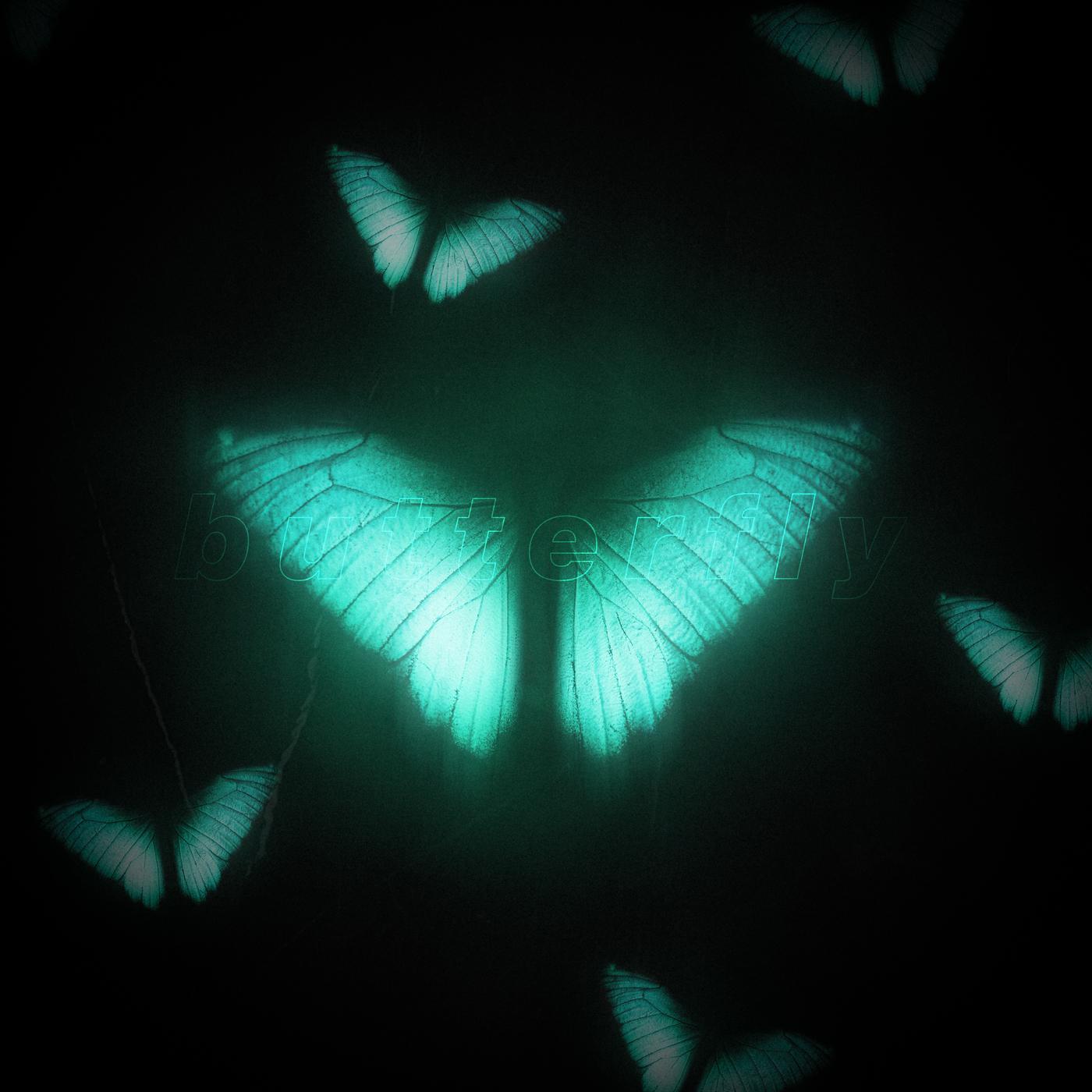 Постер альбома butterfly