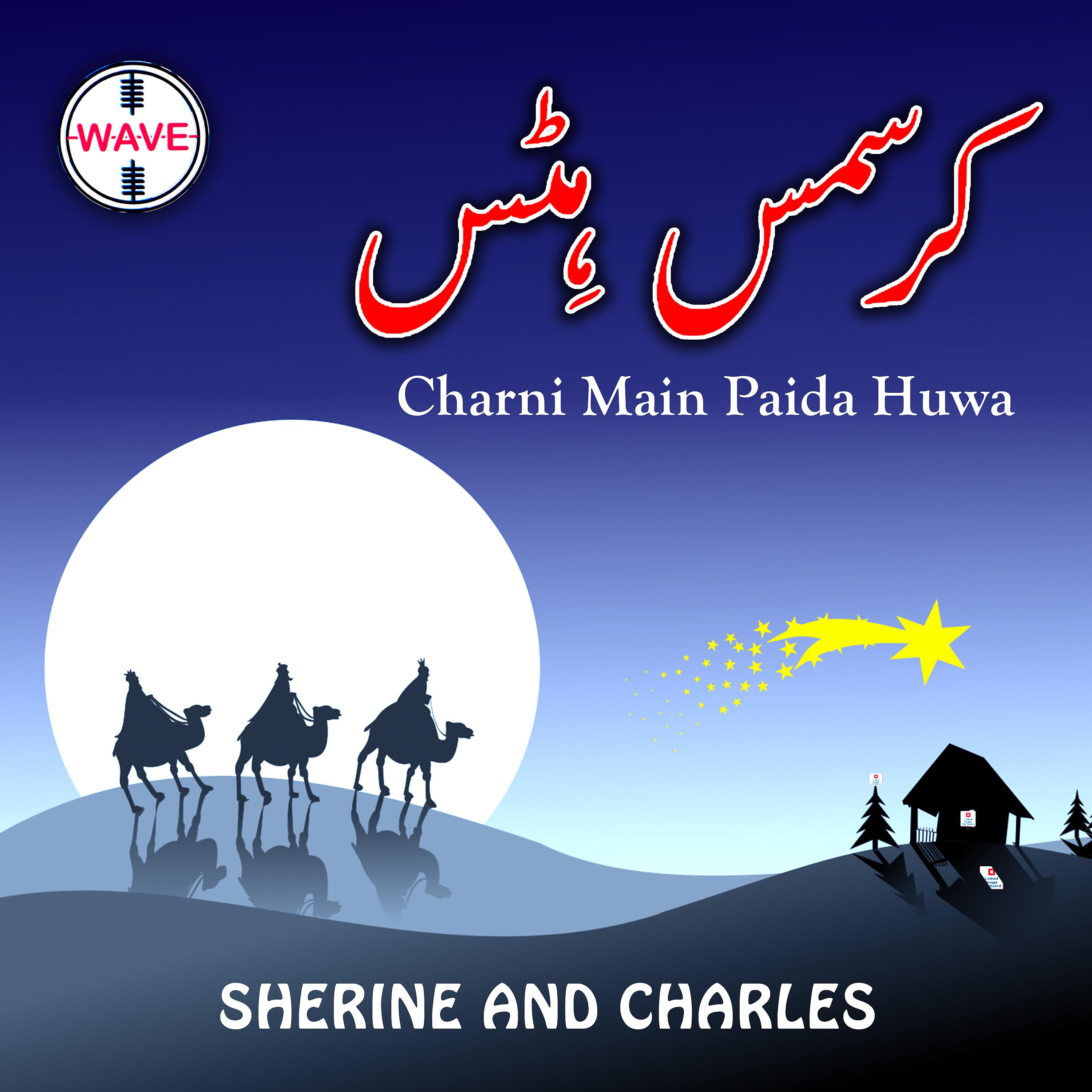 Постер альбома Charni Main Paida Huwa - Single