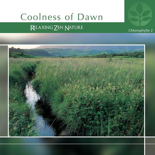 Постер альбома Chlorophylle II Coolness of Dawn