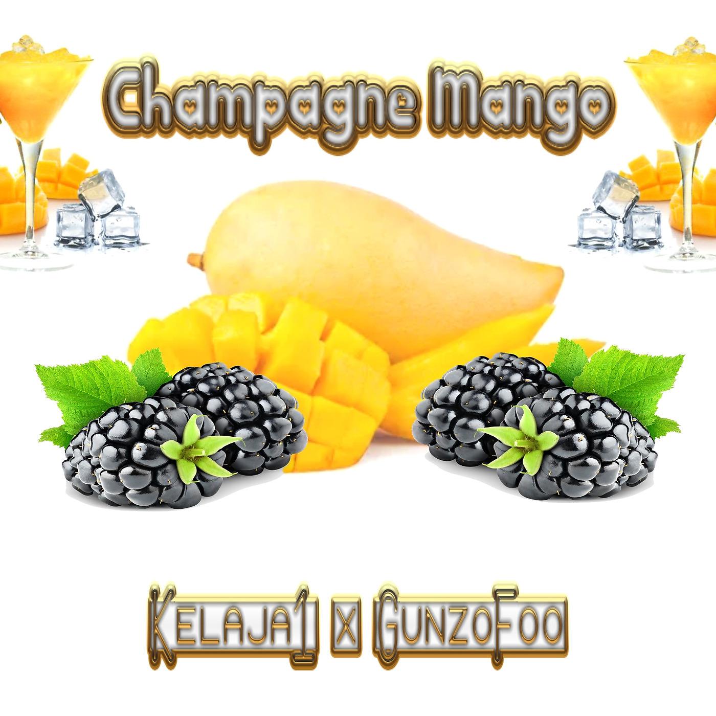 Постер альбома Champagne Mango