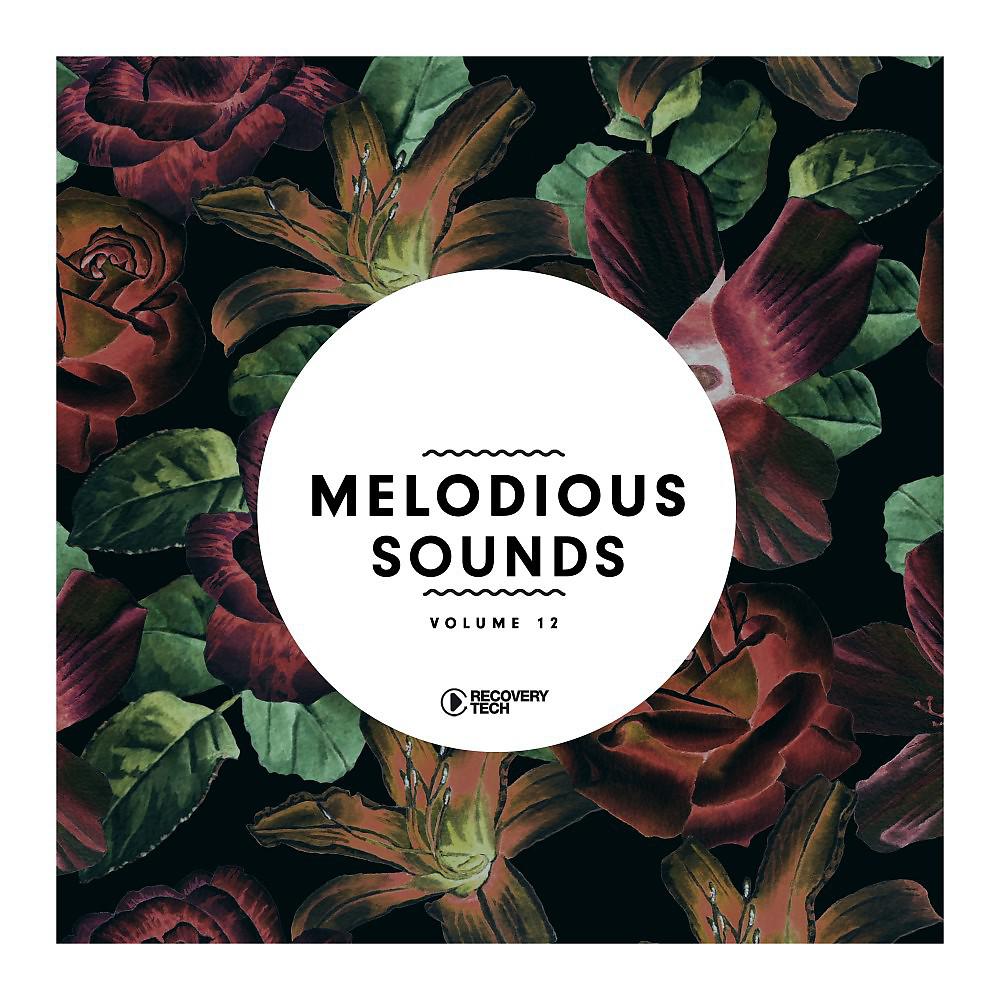 Постер альбома Melodious Sounds, Vol. 12