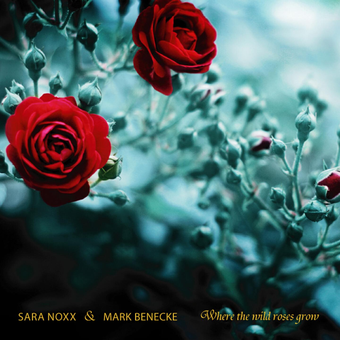 Sara Noxx - Where the Wild Roses Grow (Instrumental)