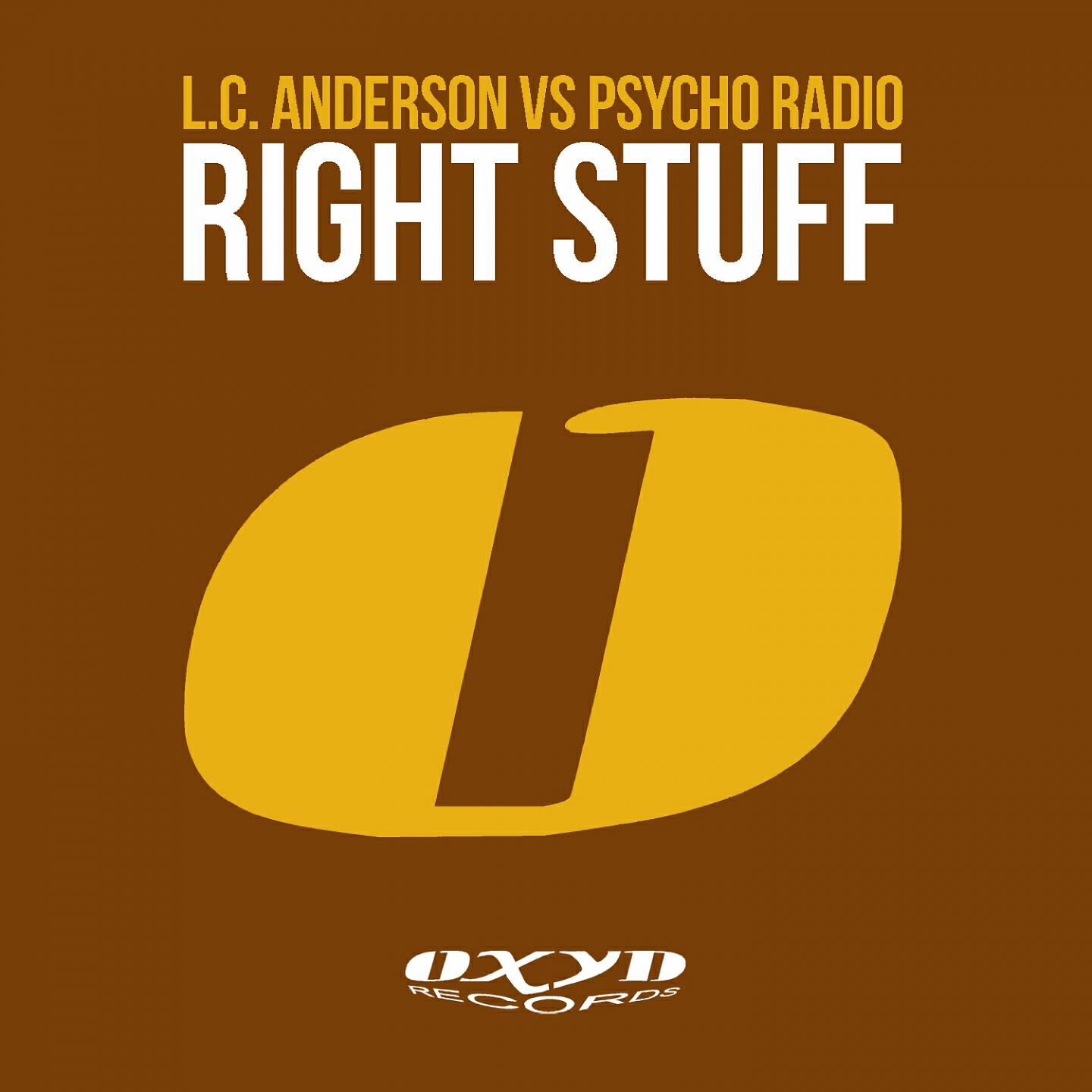 L.C. Anderson - Right Stuff (Schmoov Remix)