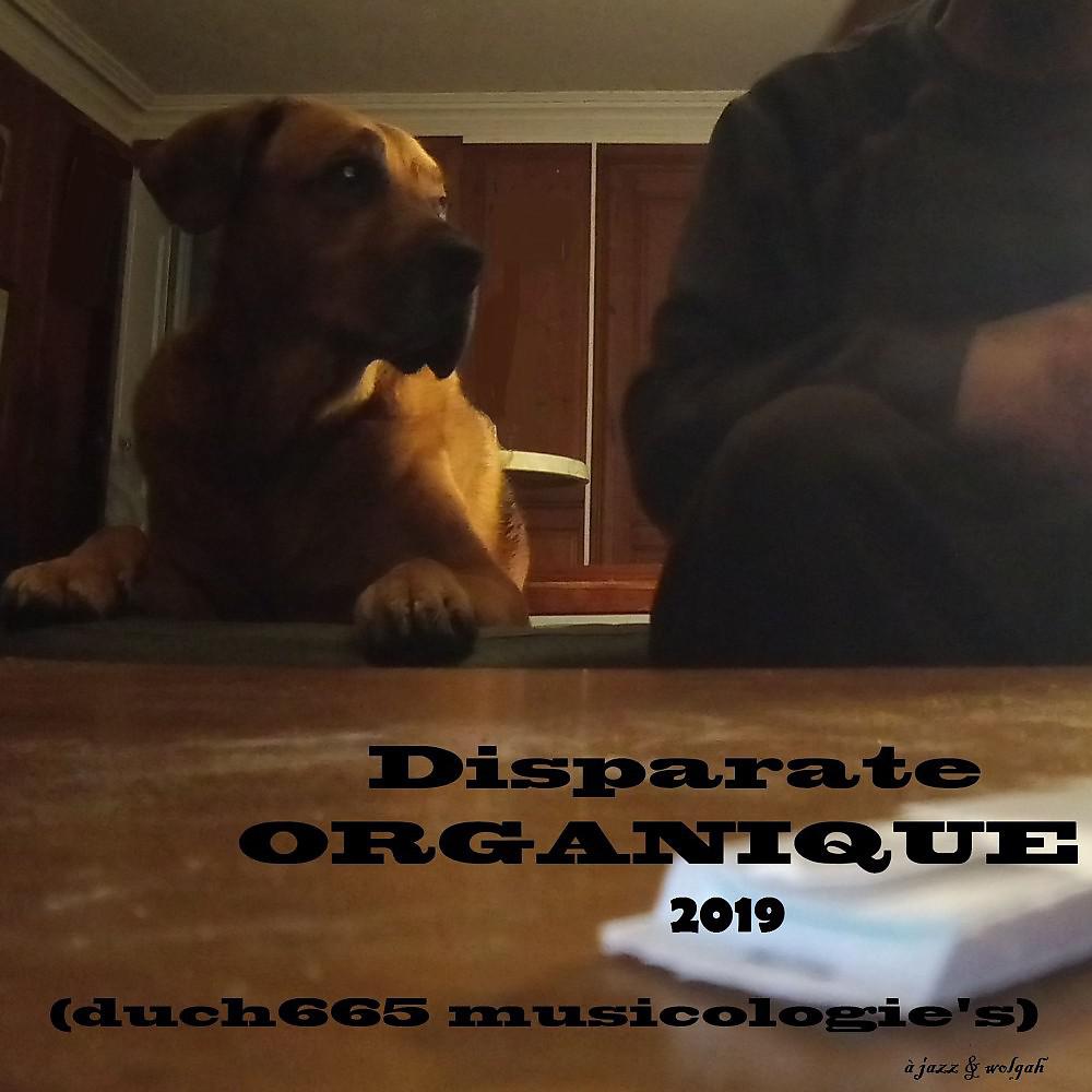 Постер альбома Organique