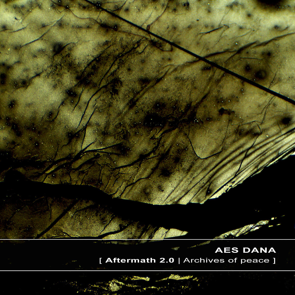 AES Dana - Aftermath # 08