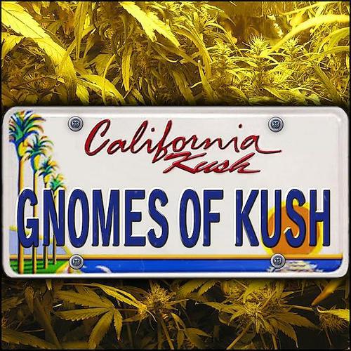 Gnomes Of Kush - Bedtime Stories