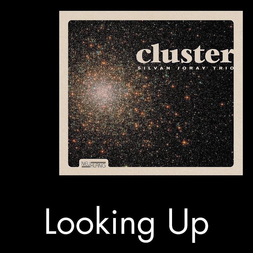 Silvan Joray - Looking Up