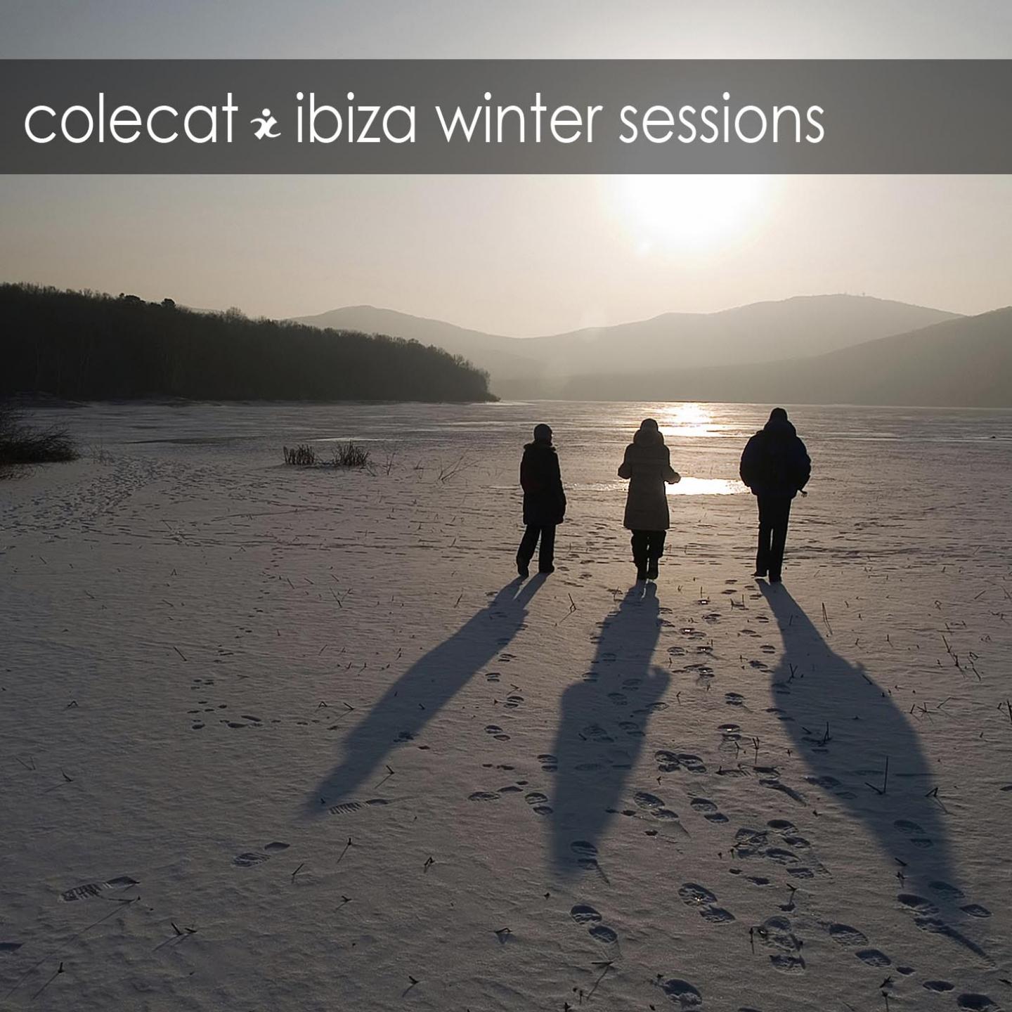 Постер альбома Ibiza Winter Sessions