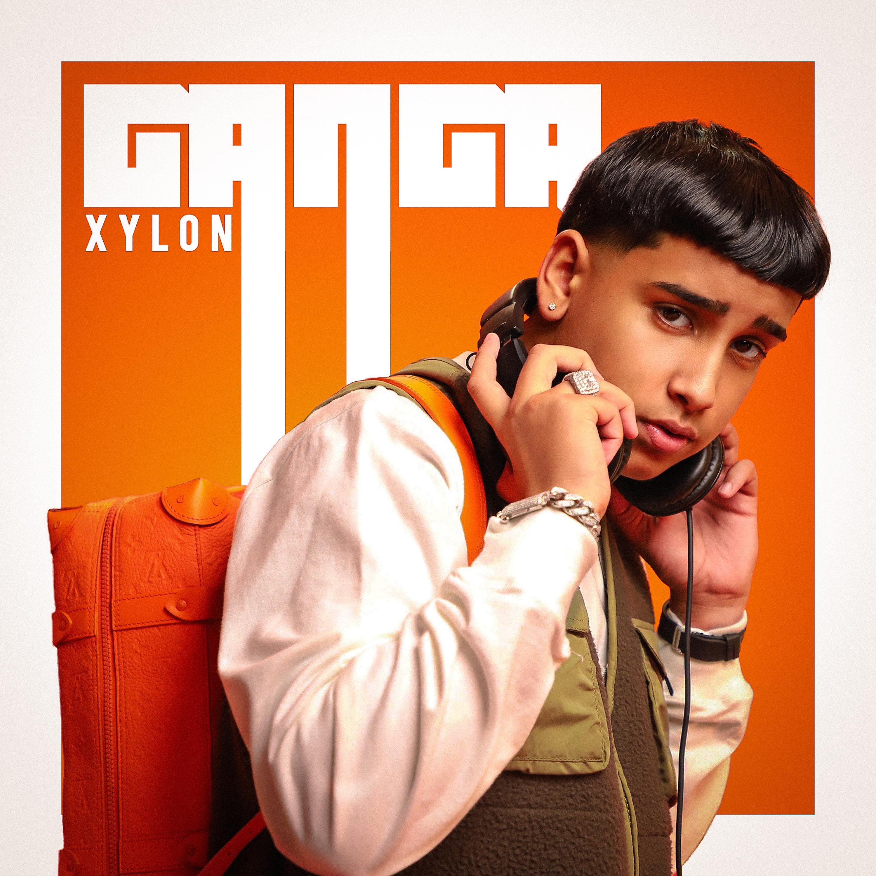 Постер альбома Ganga