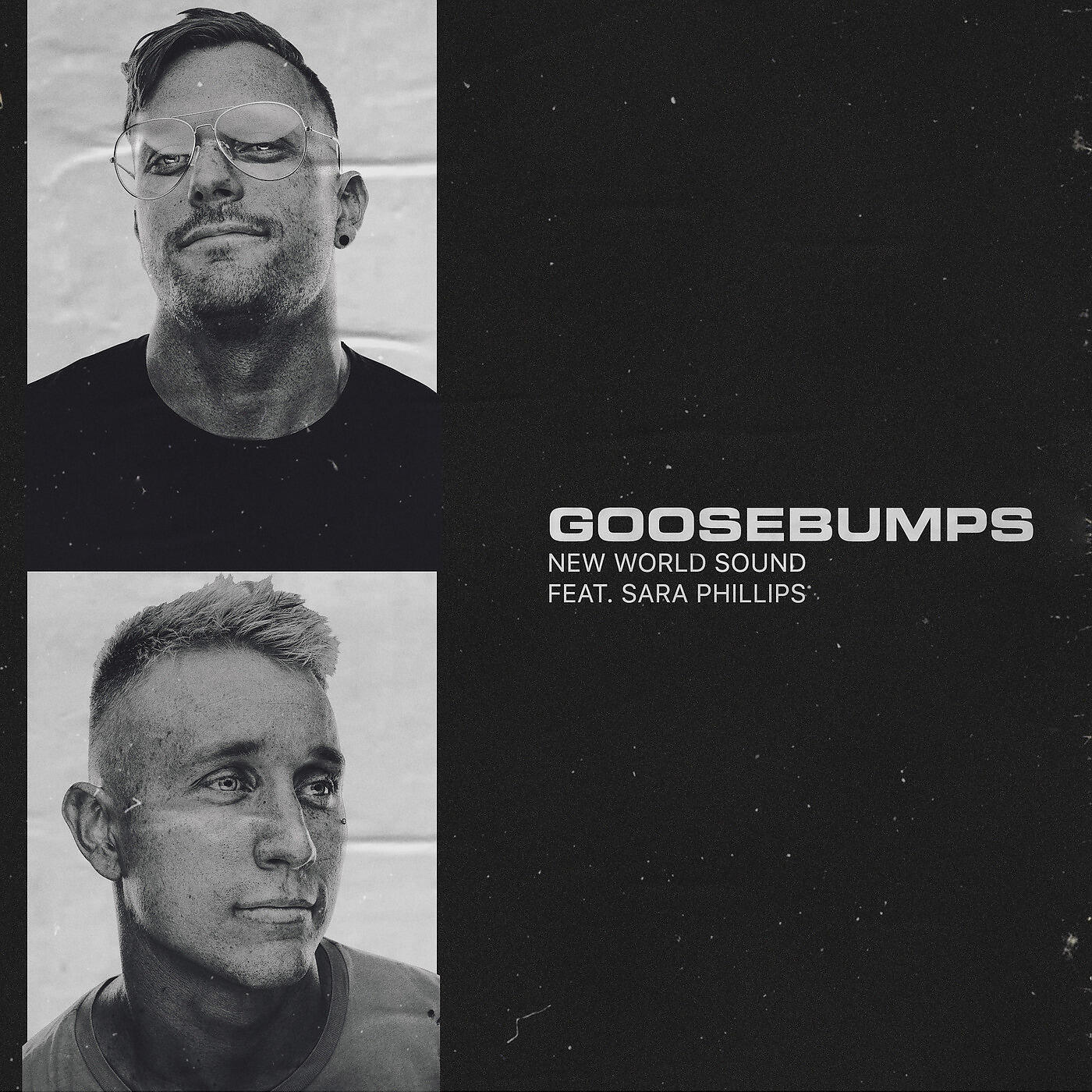 New World Sound - Goosebumps