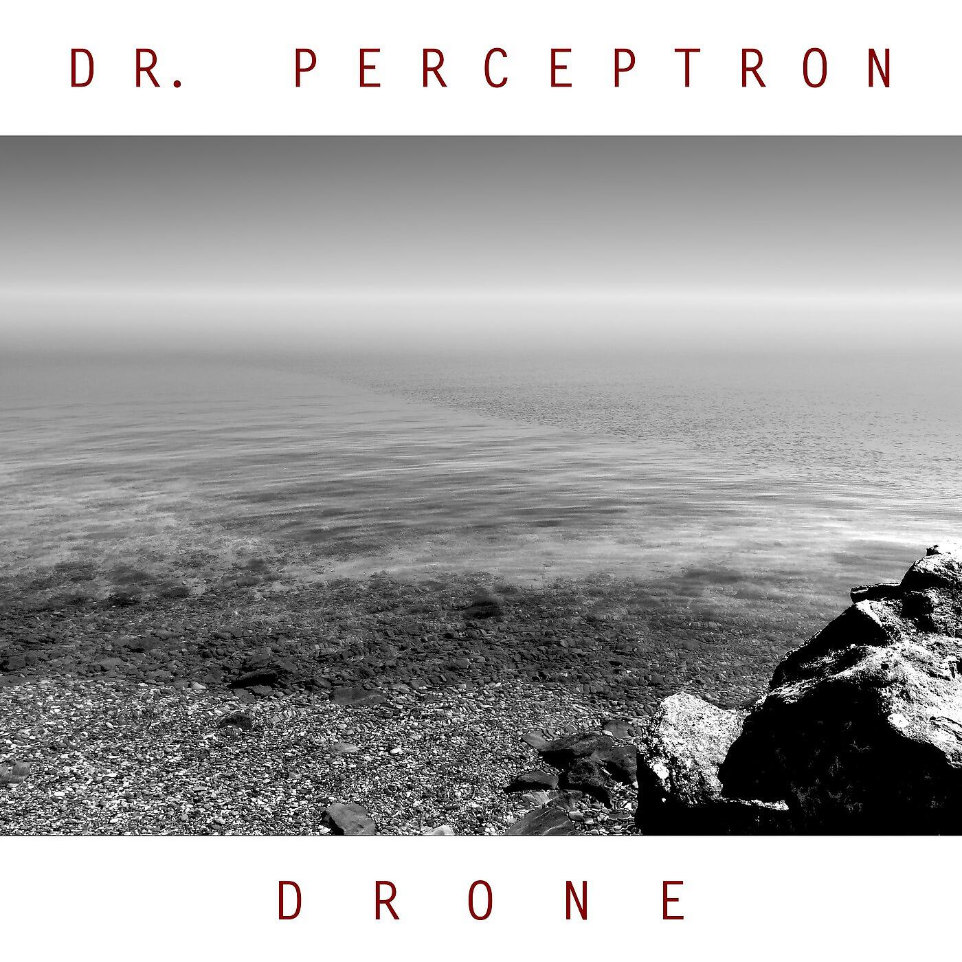 Dr. Perceptron - Foundation