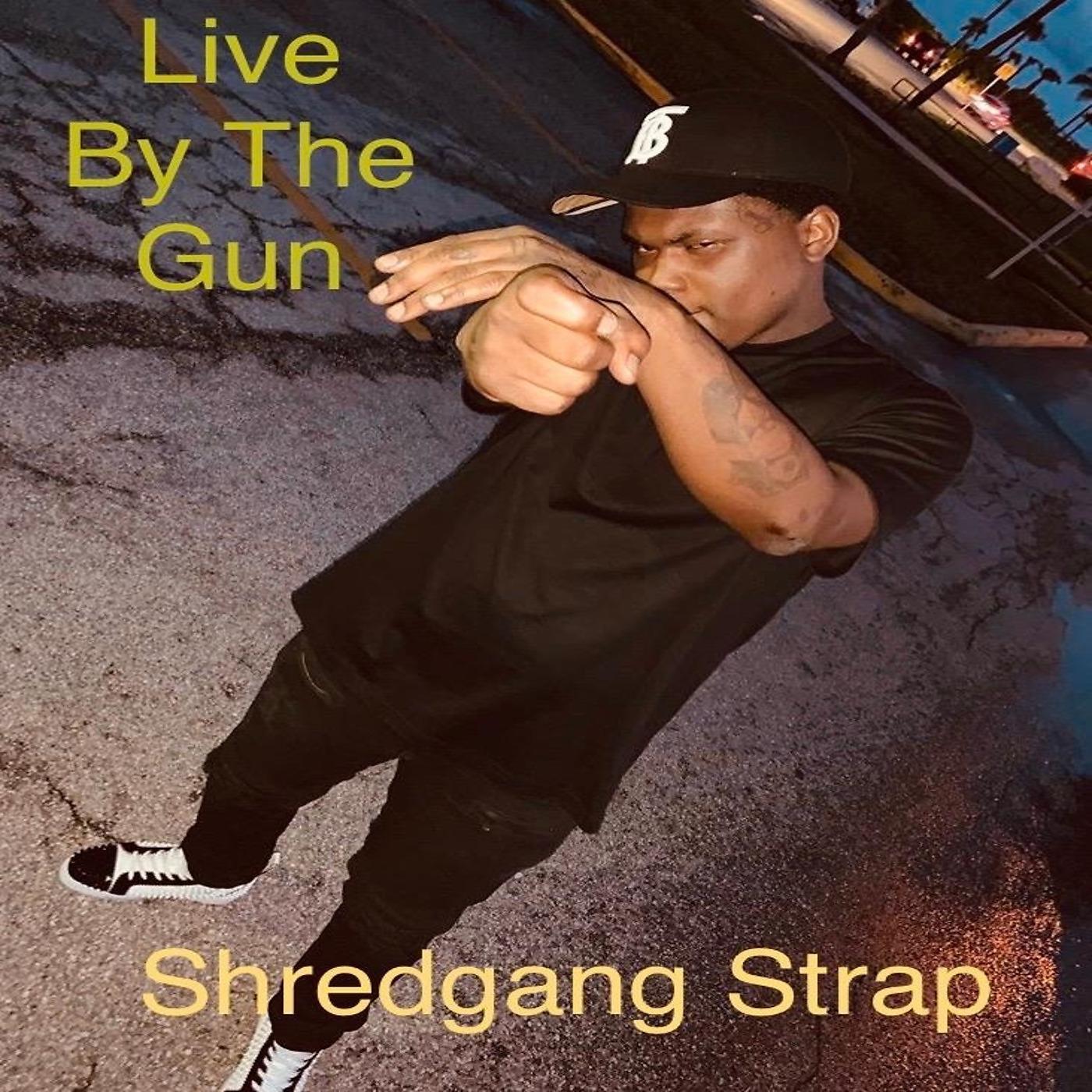 Постер альбома Live by the Gun
