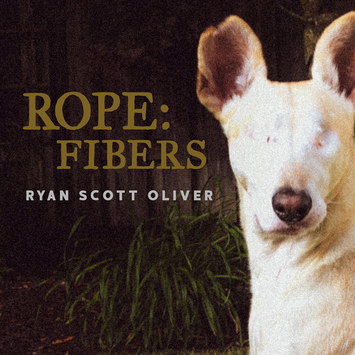 Постер альбома Rope: Fibers