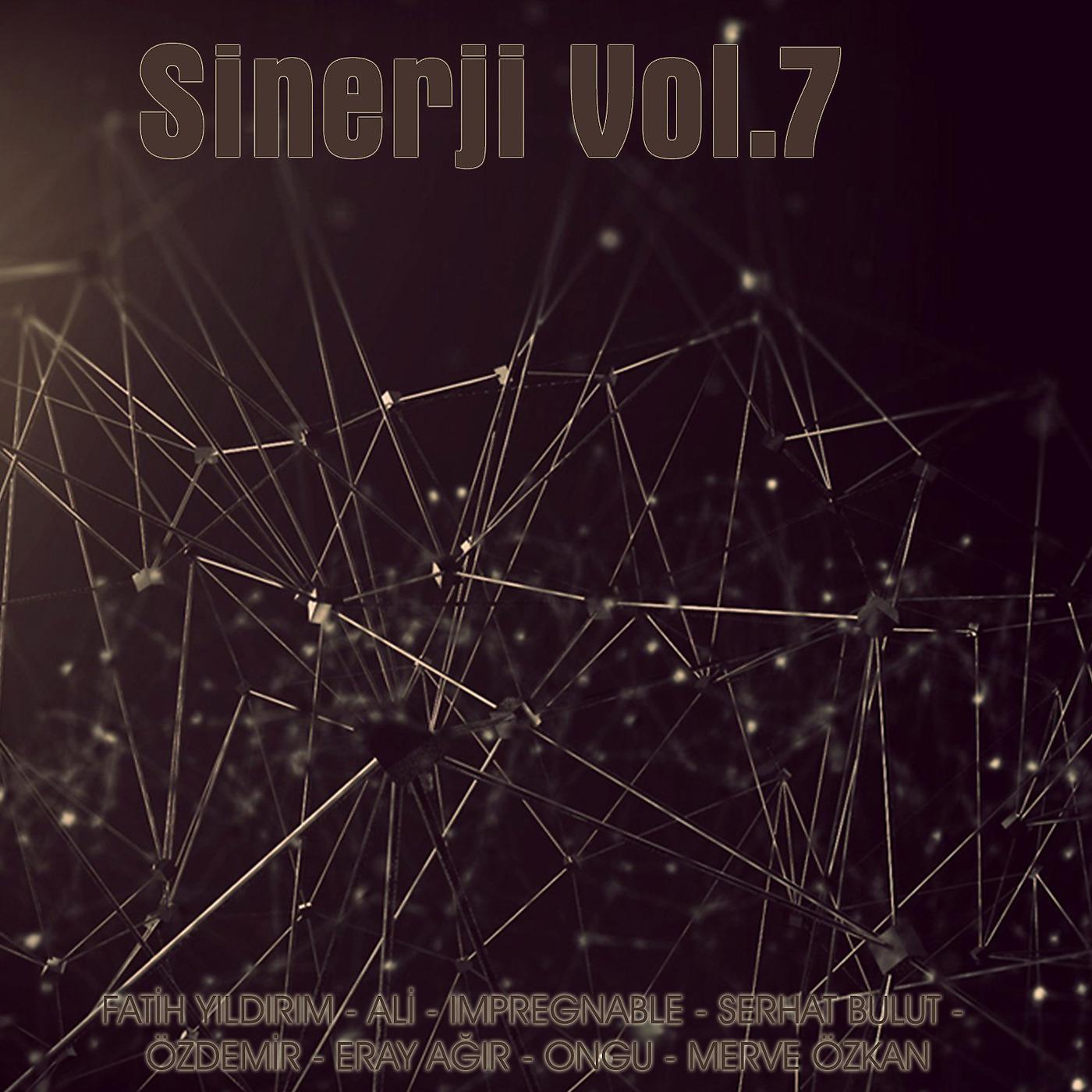 Постер альбома Sinerji, Vol.7