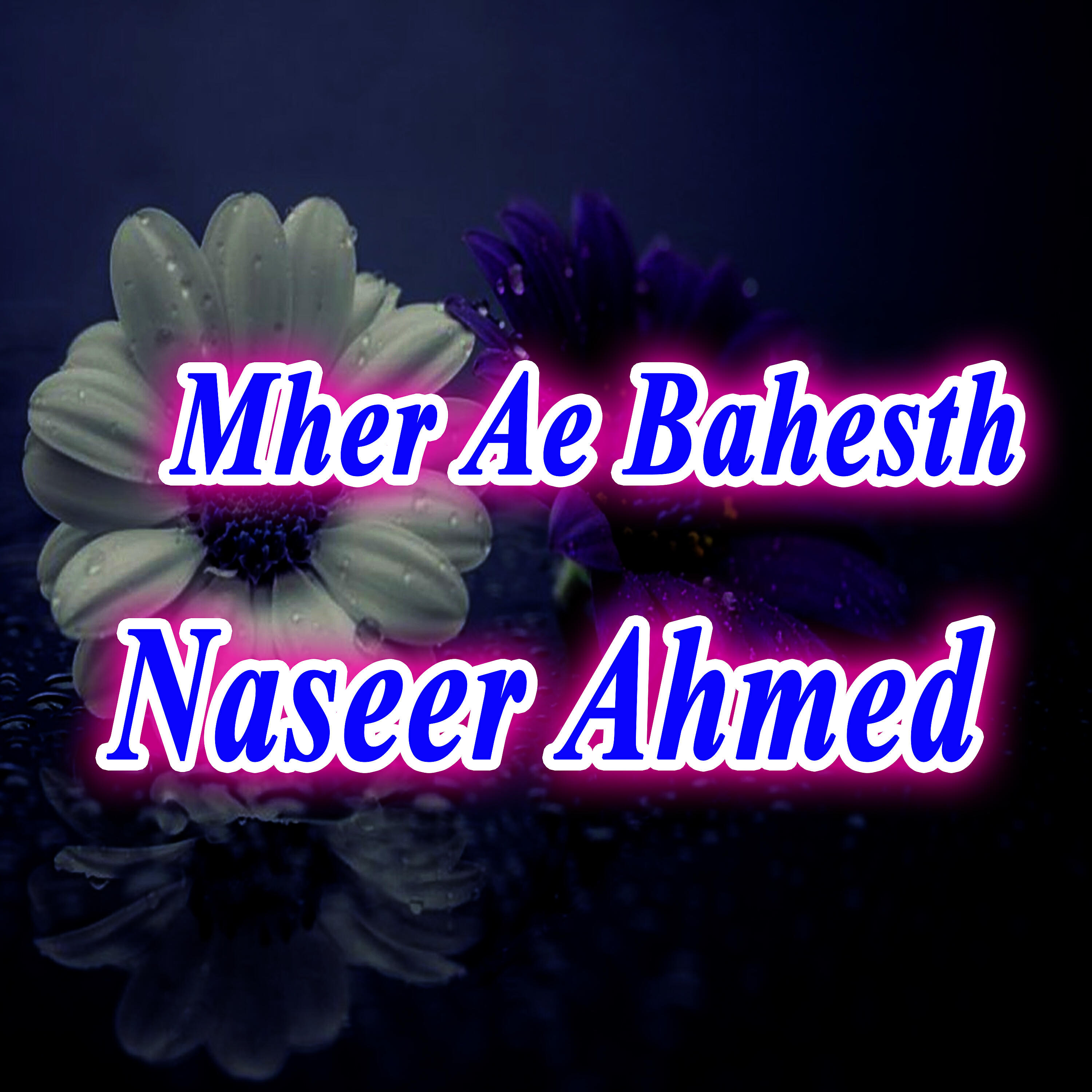Naseer Ahmed - Dil Mani Band Enth