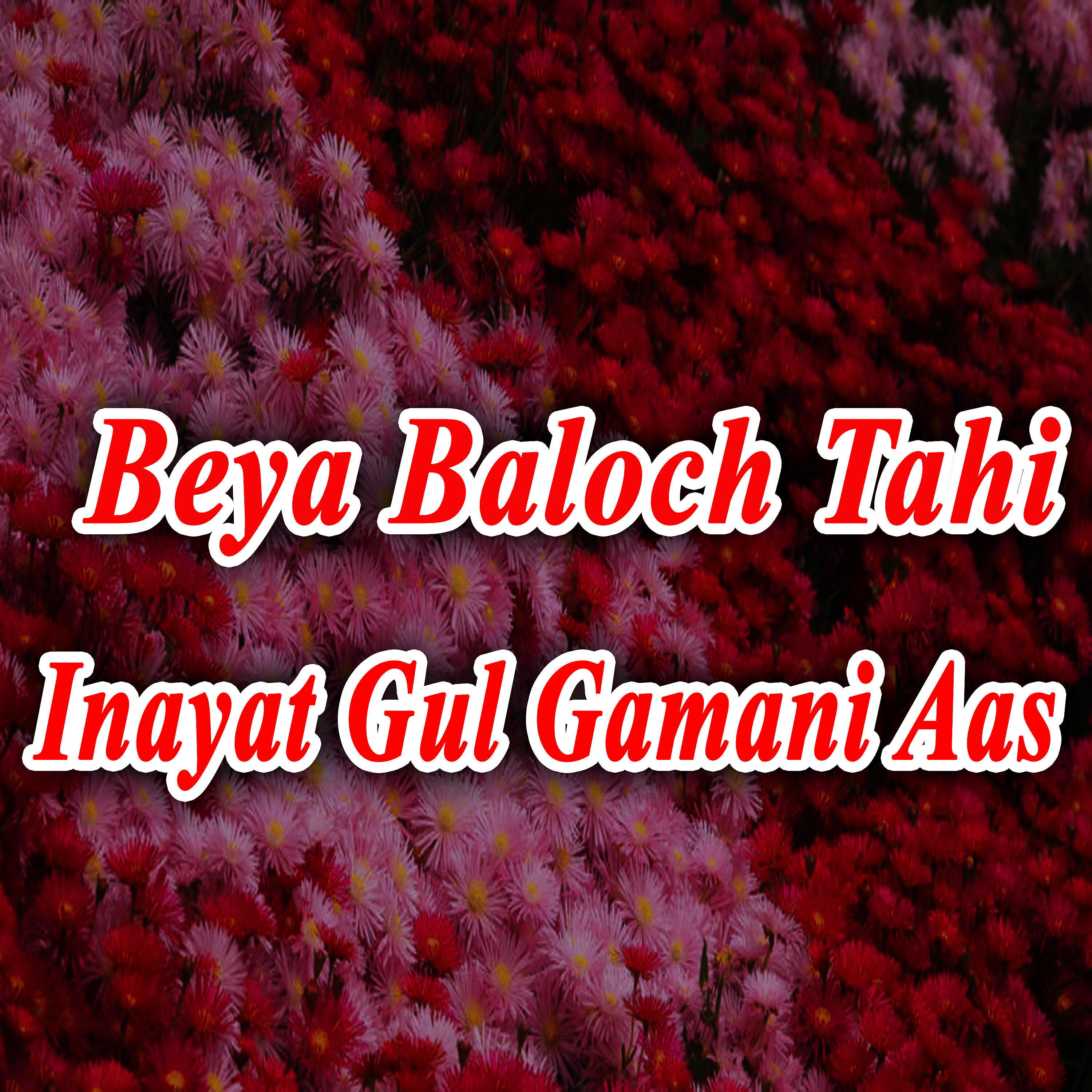 Inayat Gul Gamani Aas - Mani Weeran Booth Dunya
