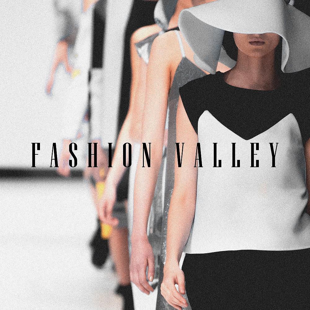 Постер альбома Fashion Valley (Tech-House & Techno)