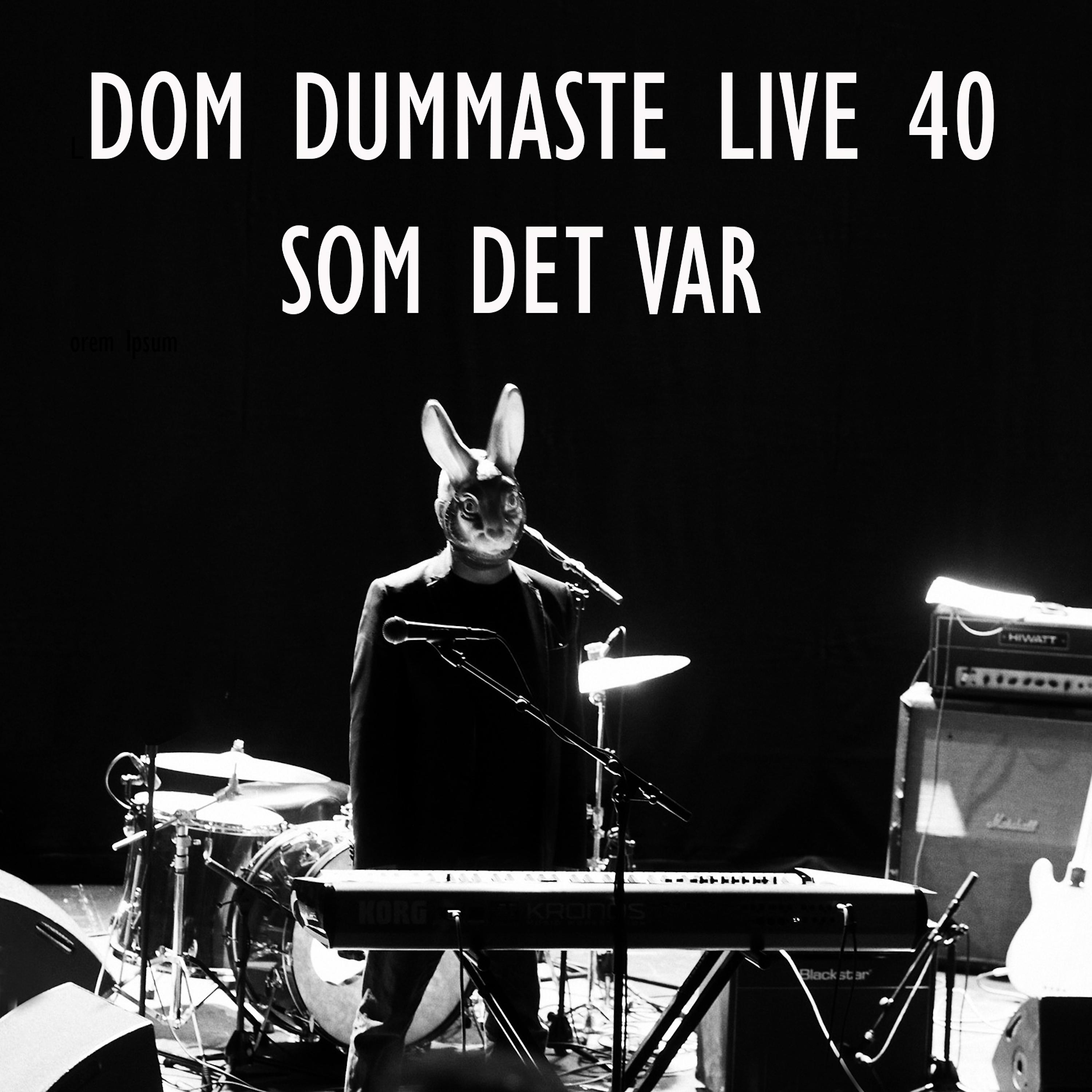 Постер альбома DOM DUMMASTE 40 - SOM DET VAR (LIVE)