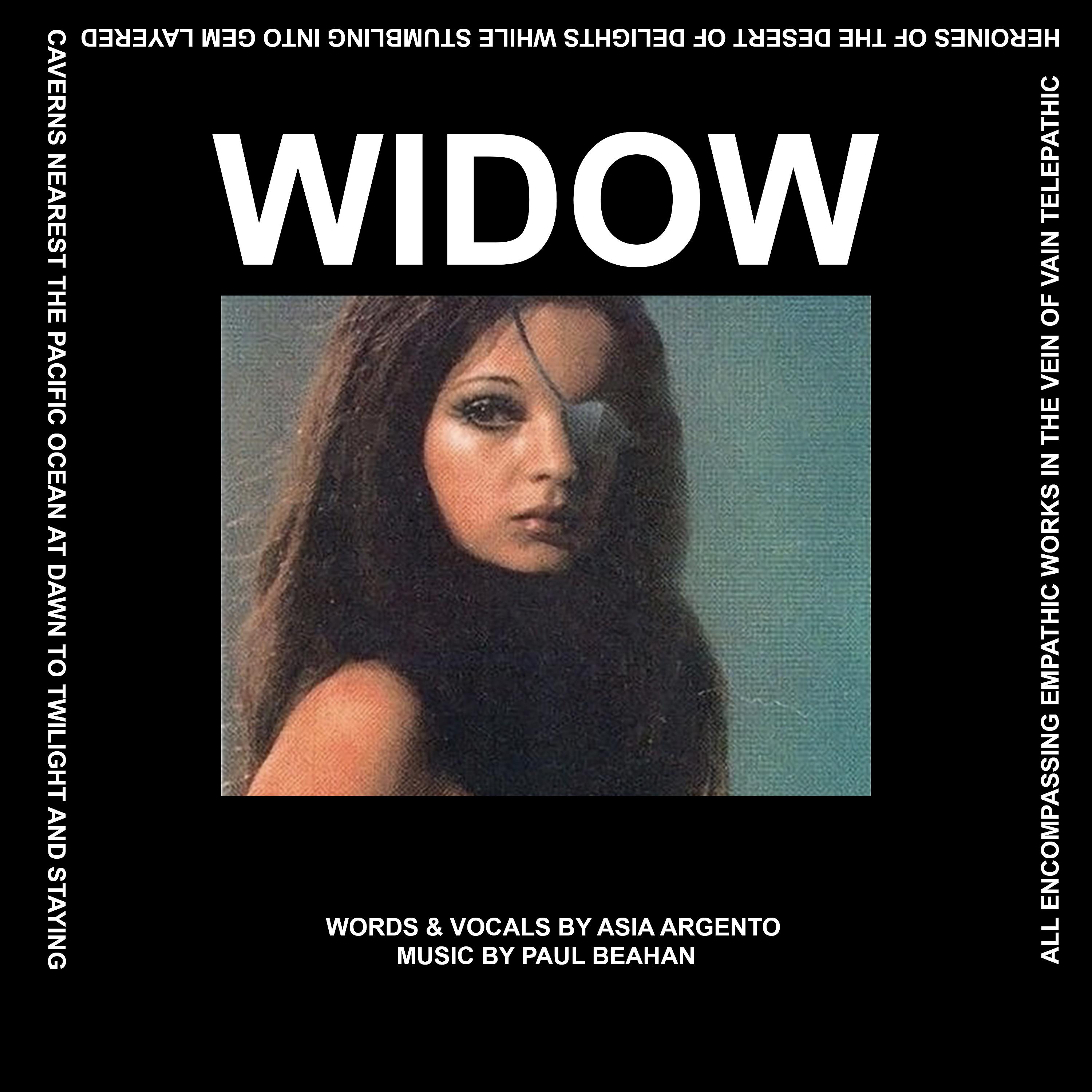 Постер альбома Widow
