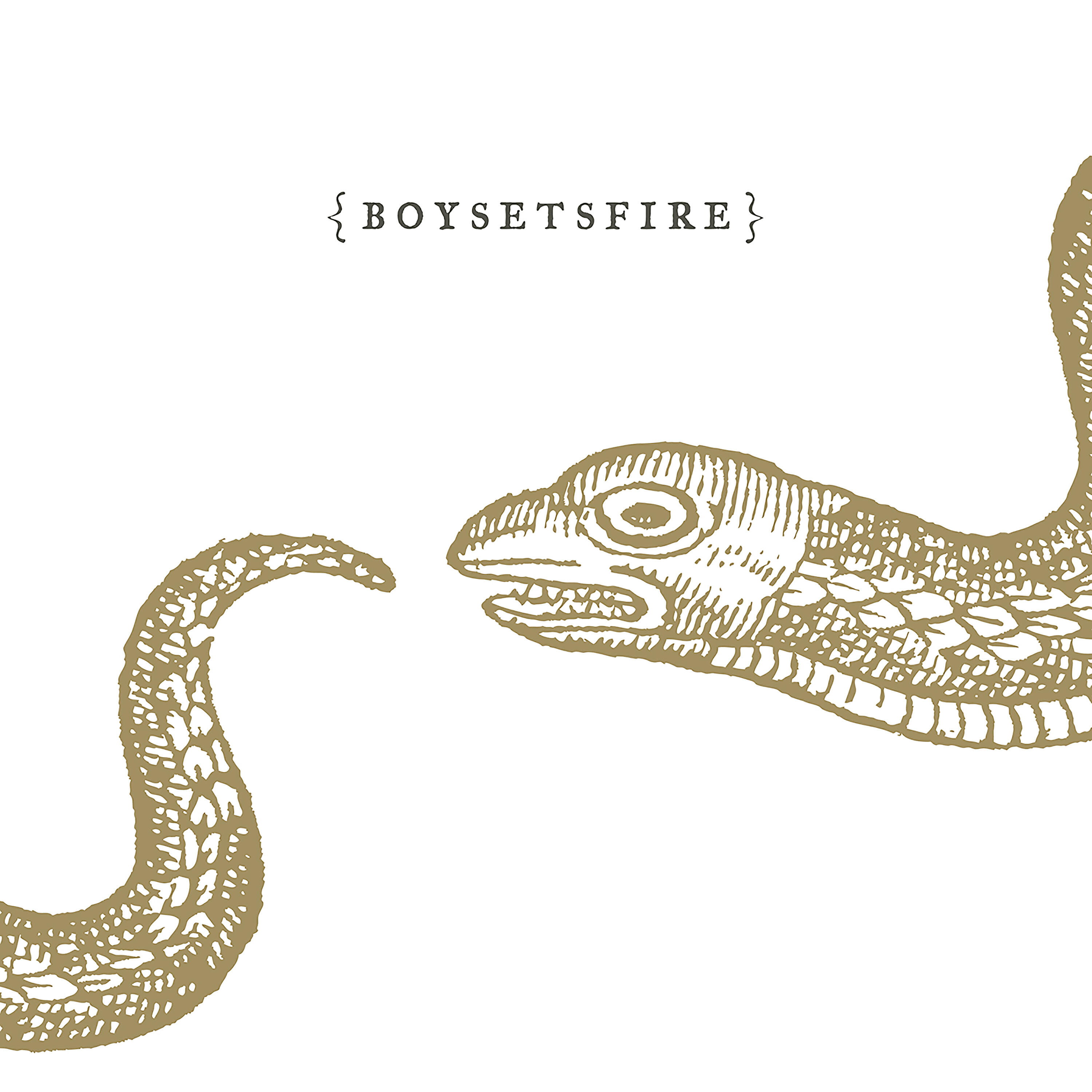 BoySetsFire - Bled Dry