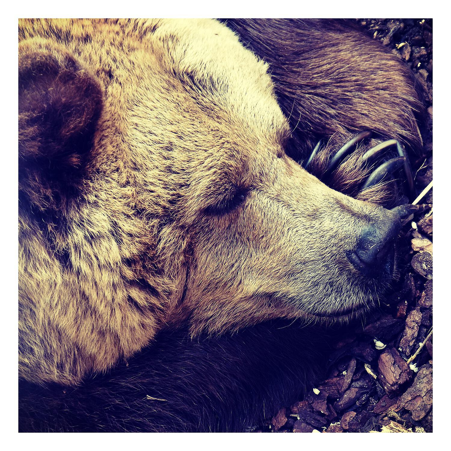 Sleep Baby Sleep - Caring Soul