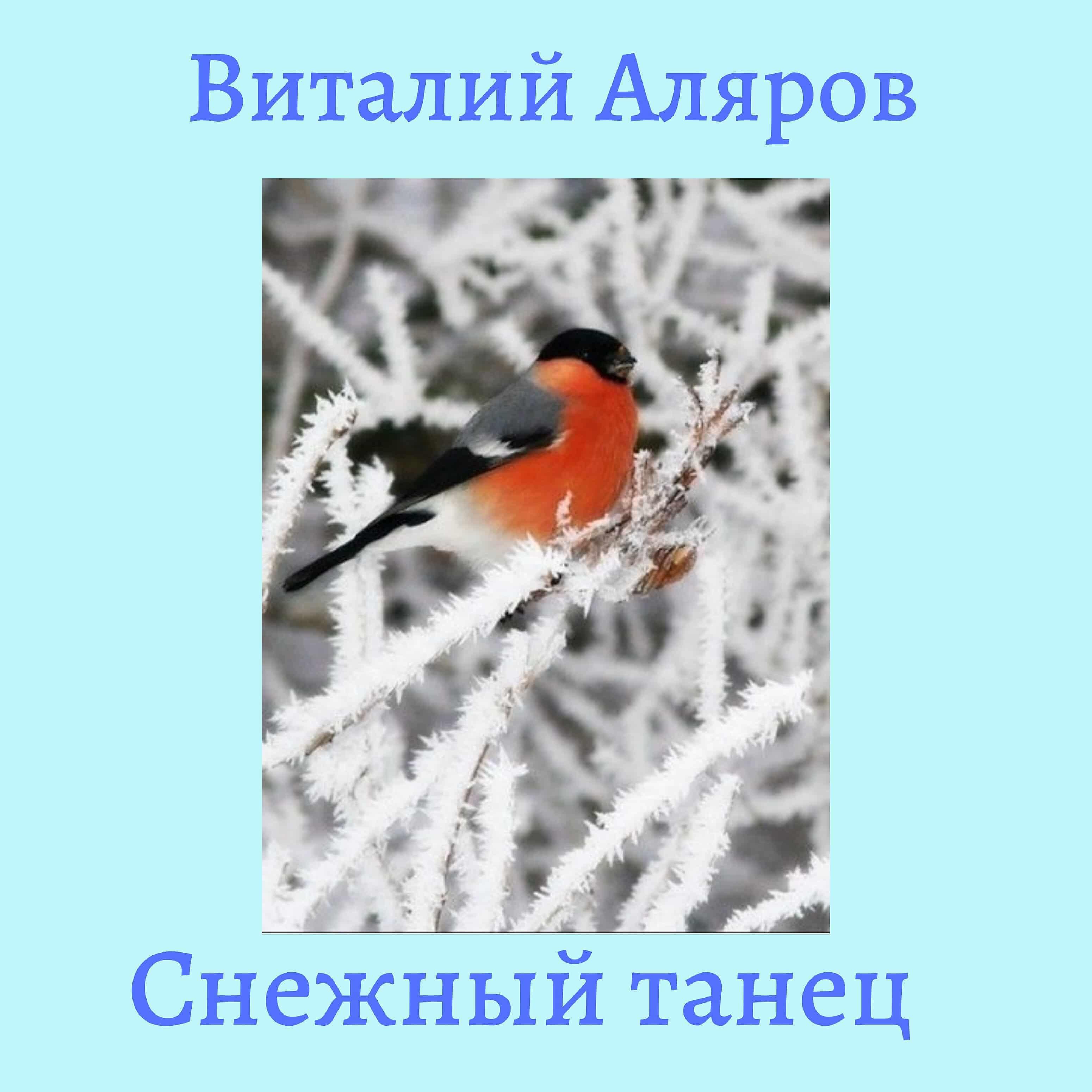 Постер альбома Снежный танец