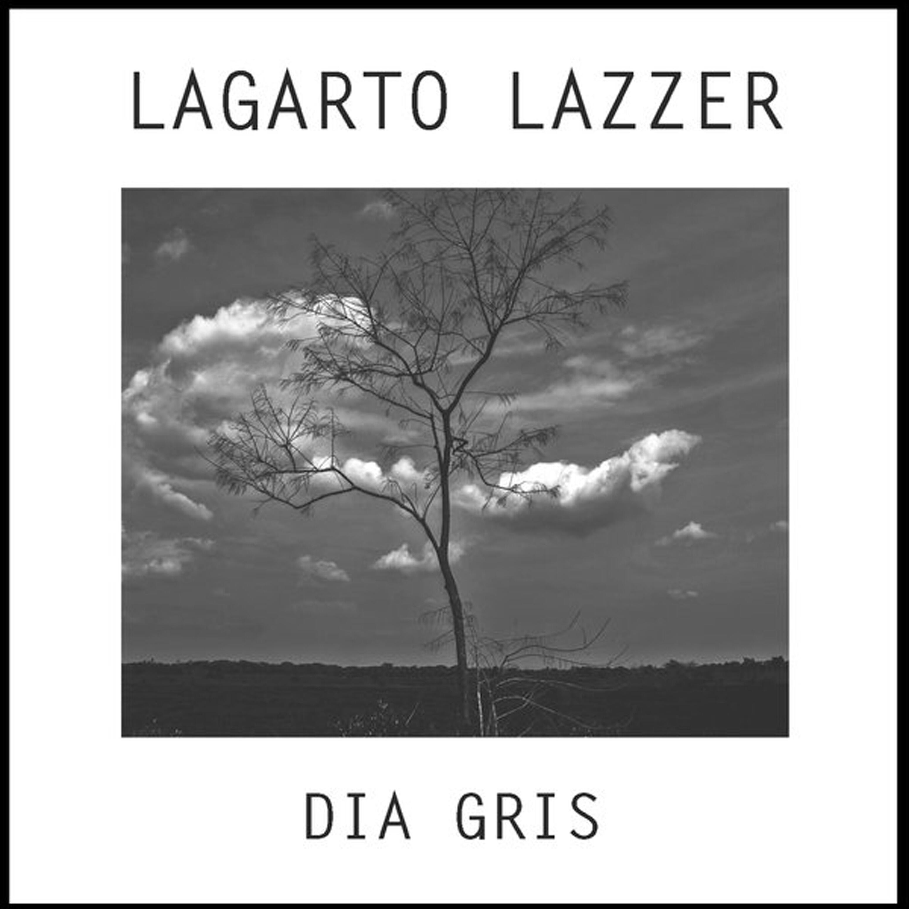 lagarto lazzer - Latir