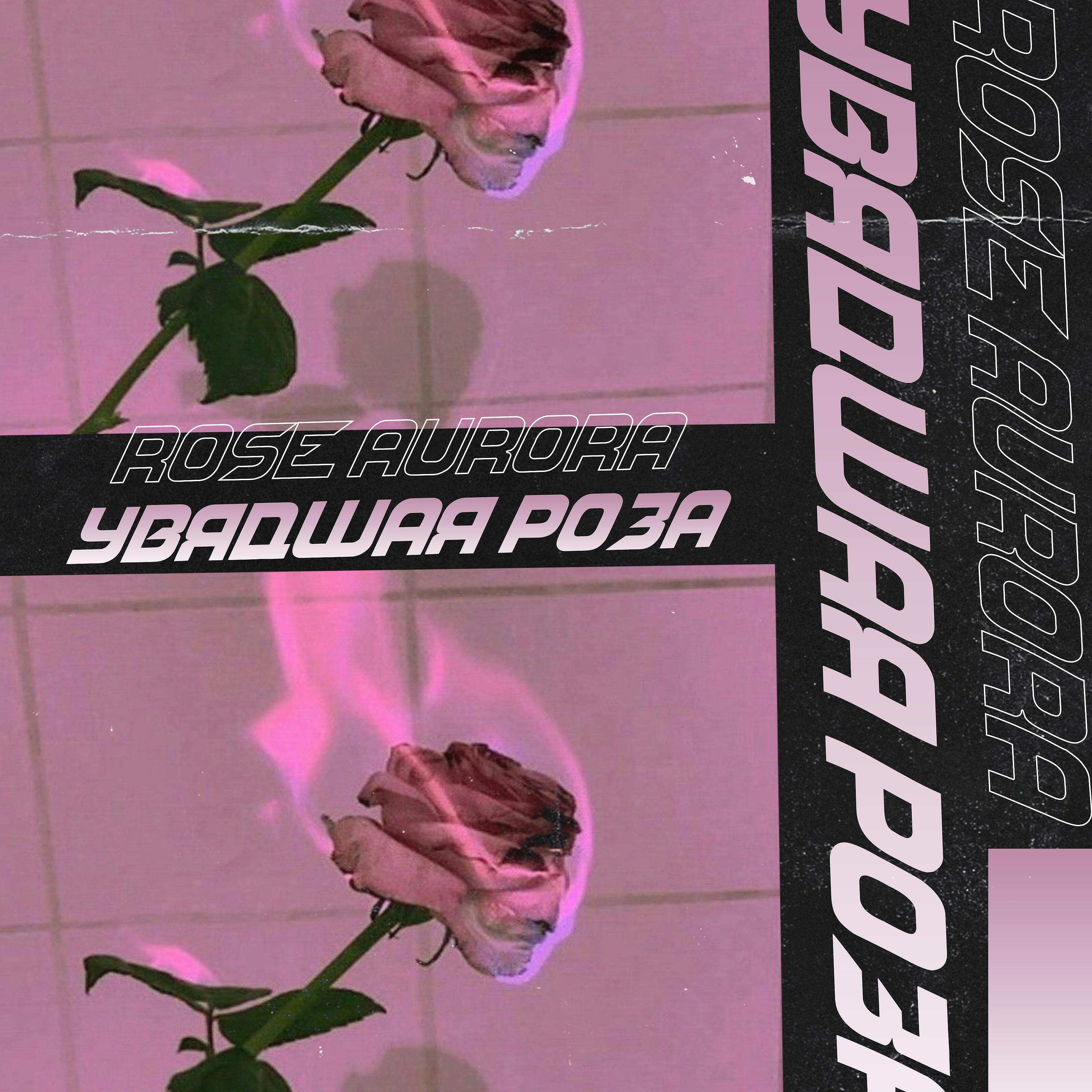 Rose Aurora - Змея