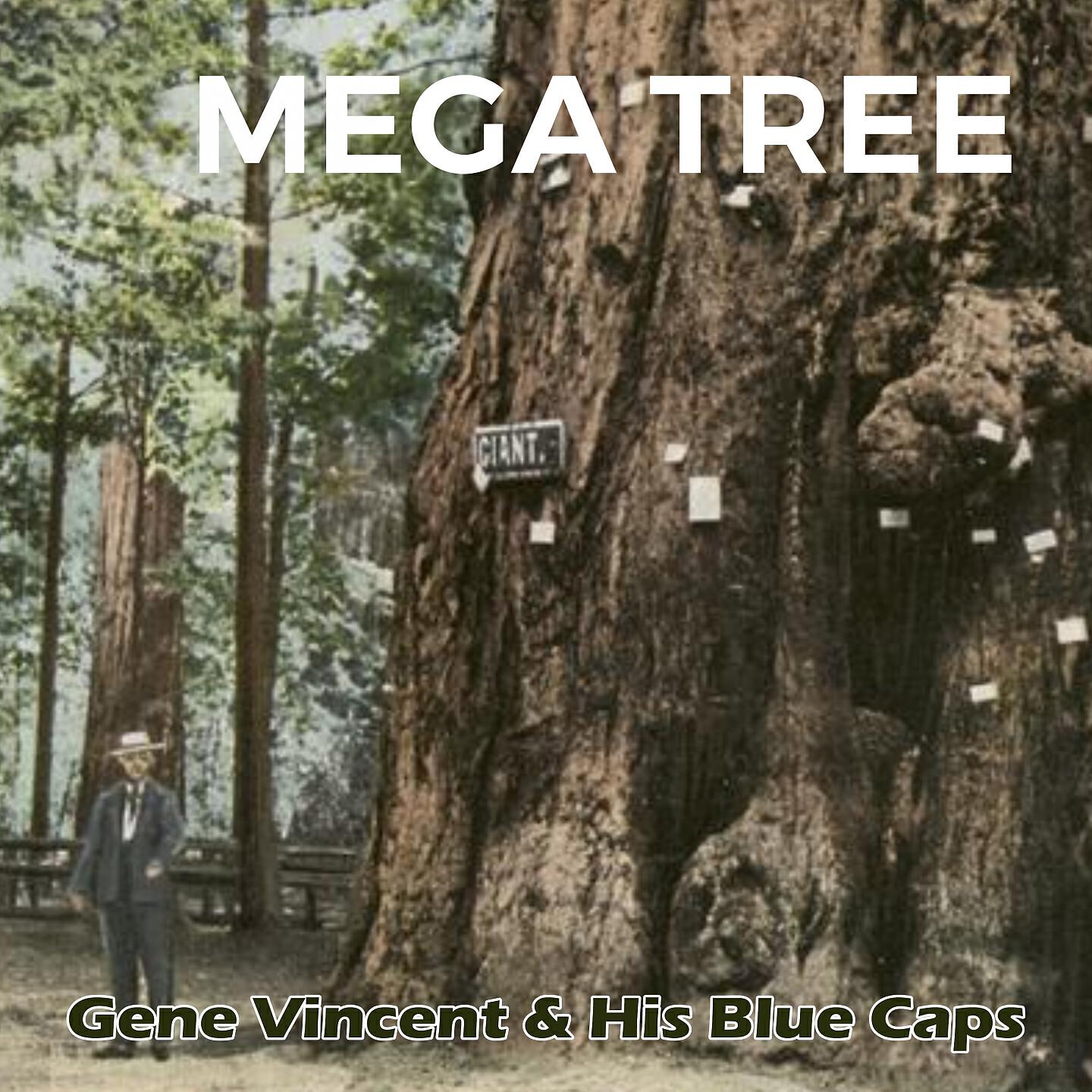 Gene Vincent & His Blue Caps - I Flipped