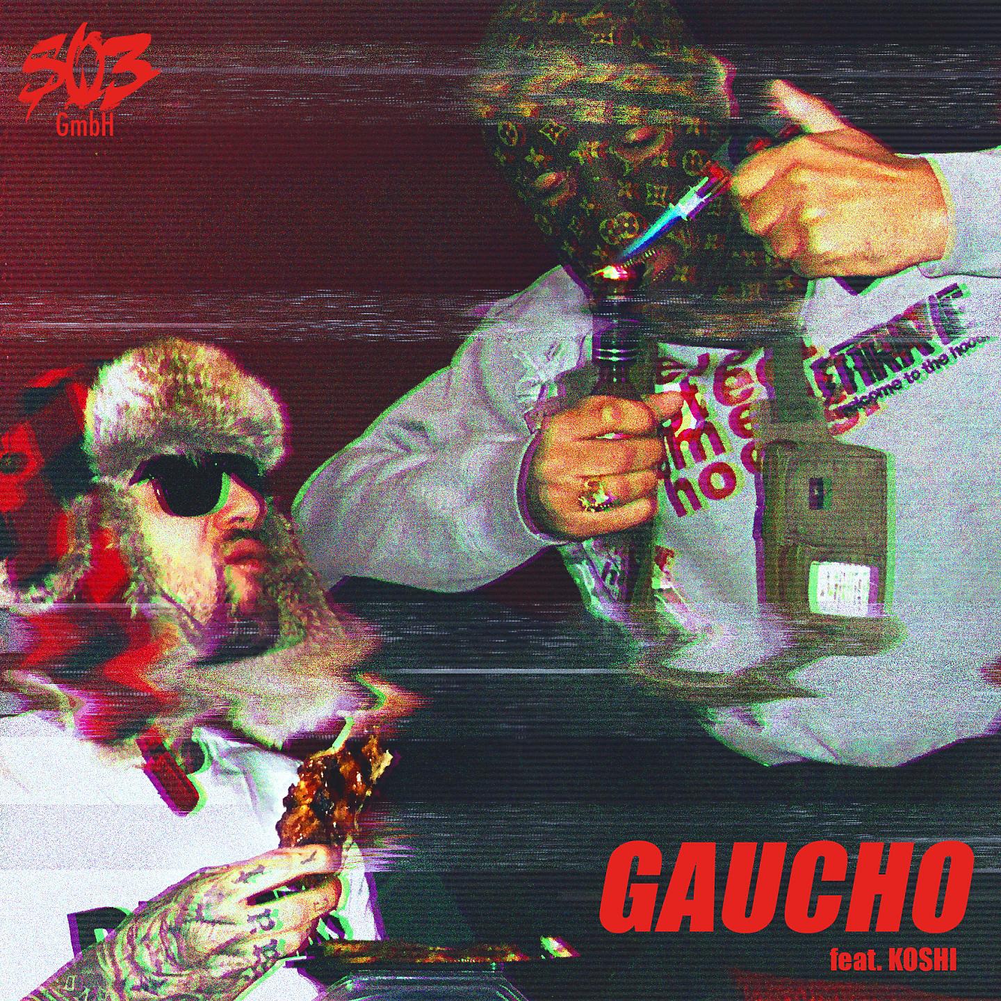 Постер альбома Gaucho