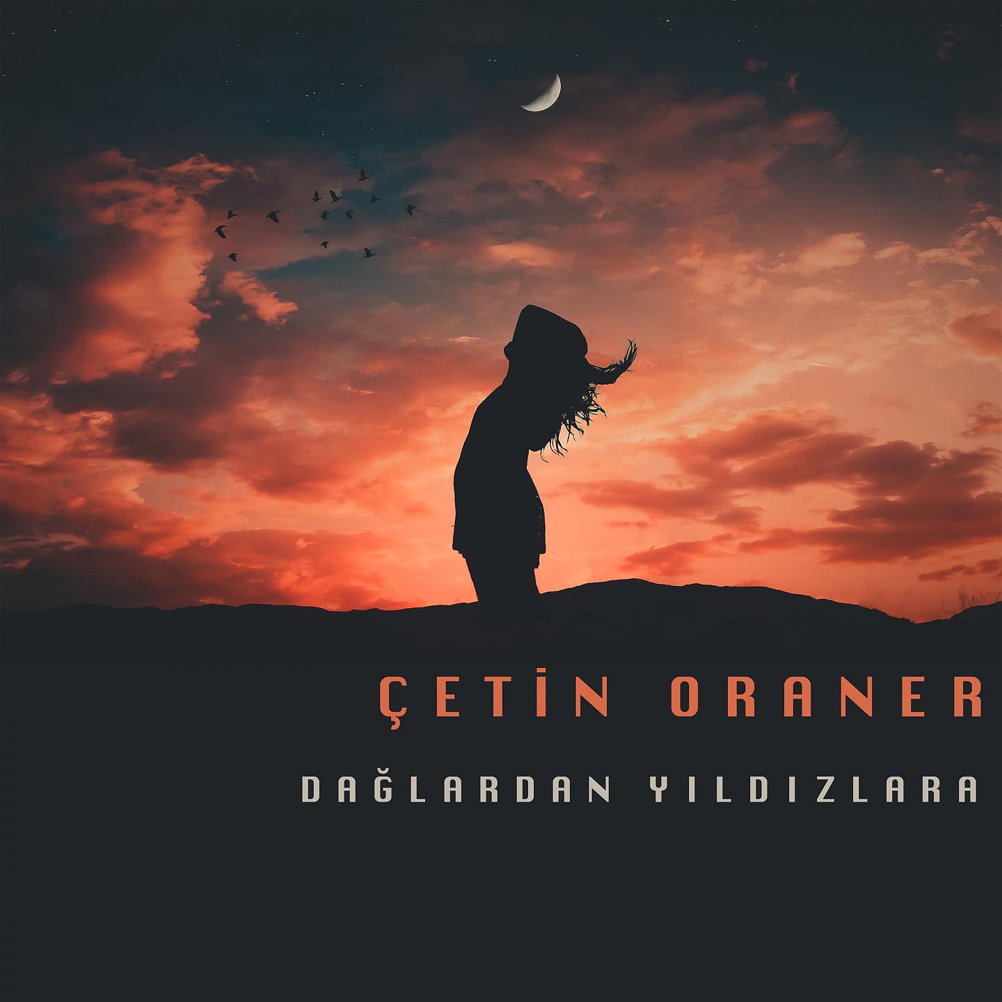 Постер альбома Dağlardan Yıldızlara